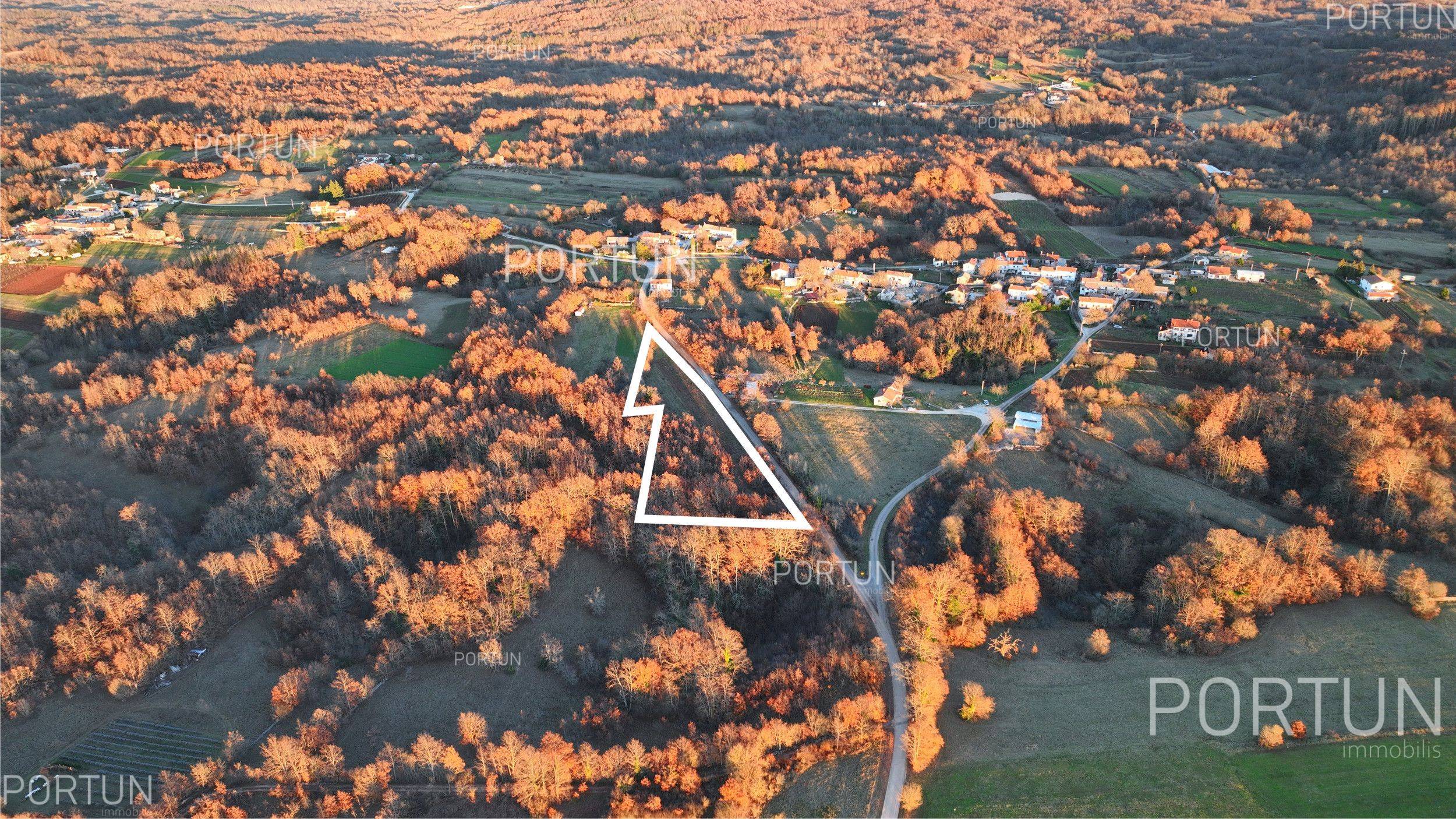 Terreno in vendita a Gimino - 40534 - 05