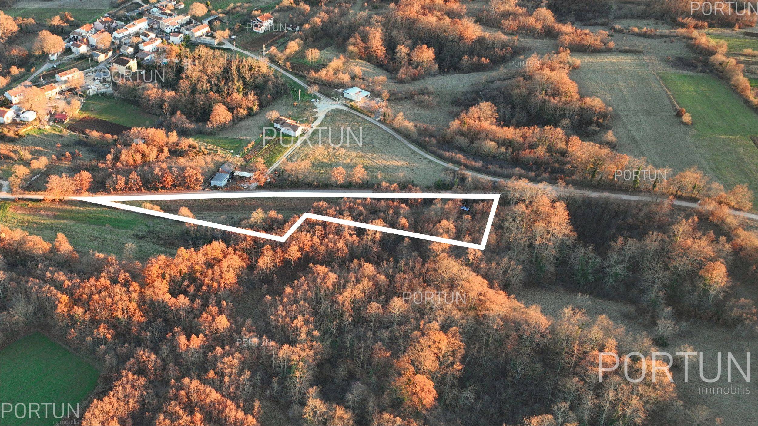 Terreno in vendita a Gimino - 40534 - 07