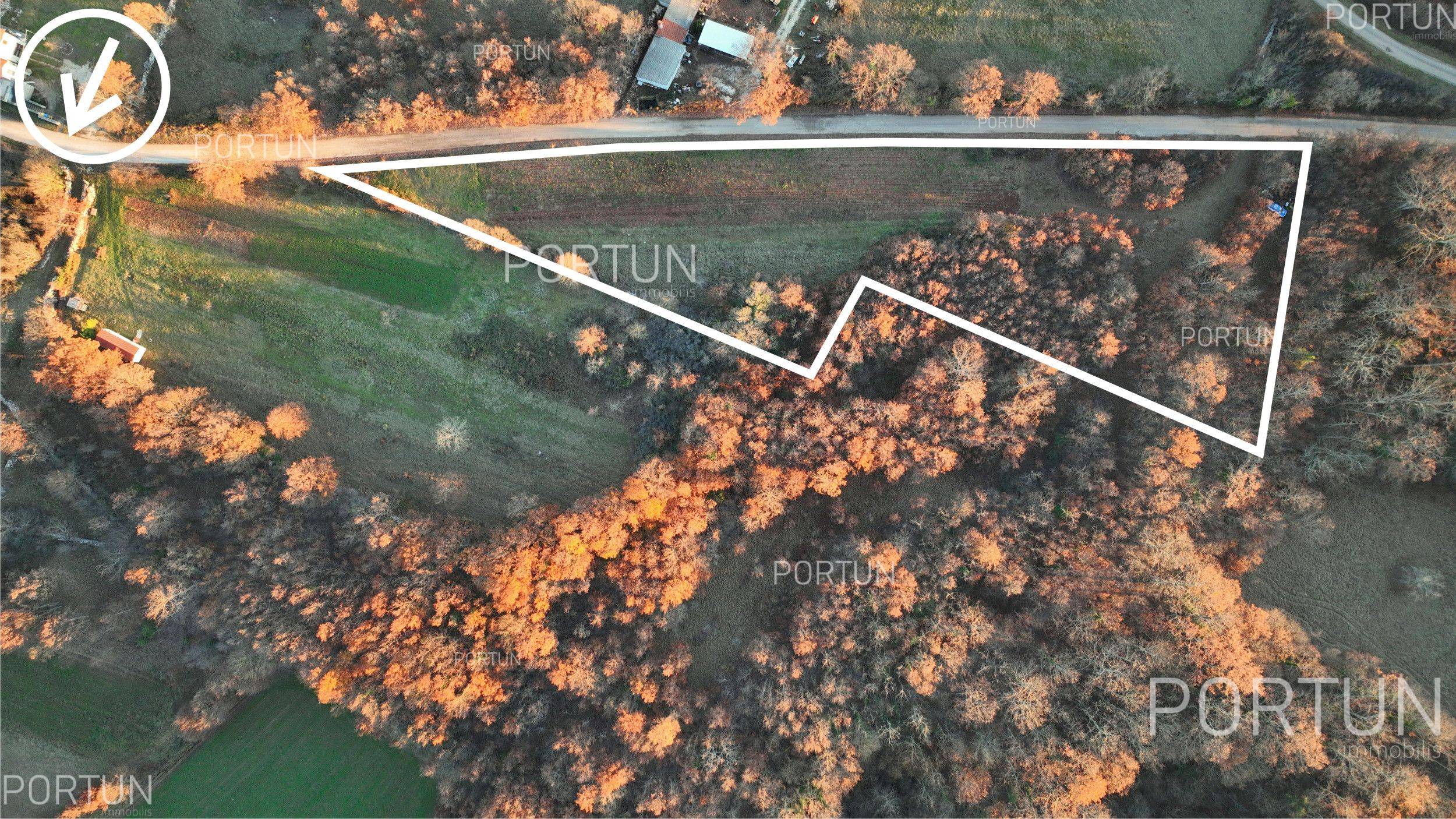 Terreno in vendita a Gimino - 40534 - 09