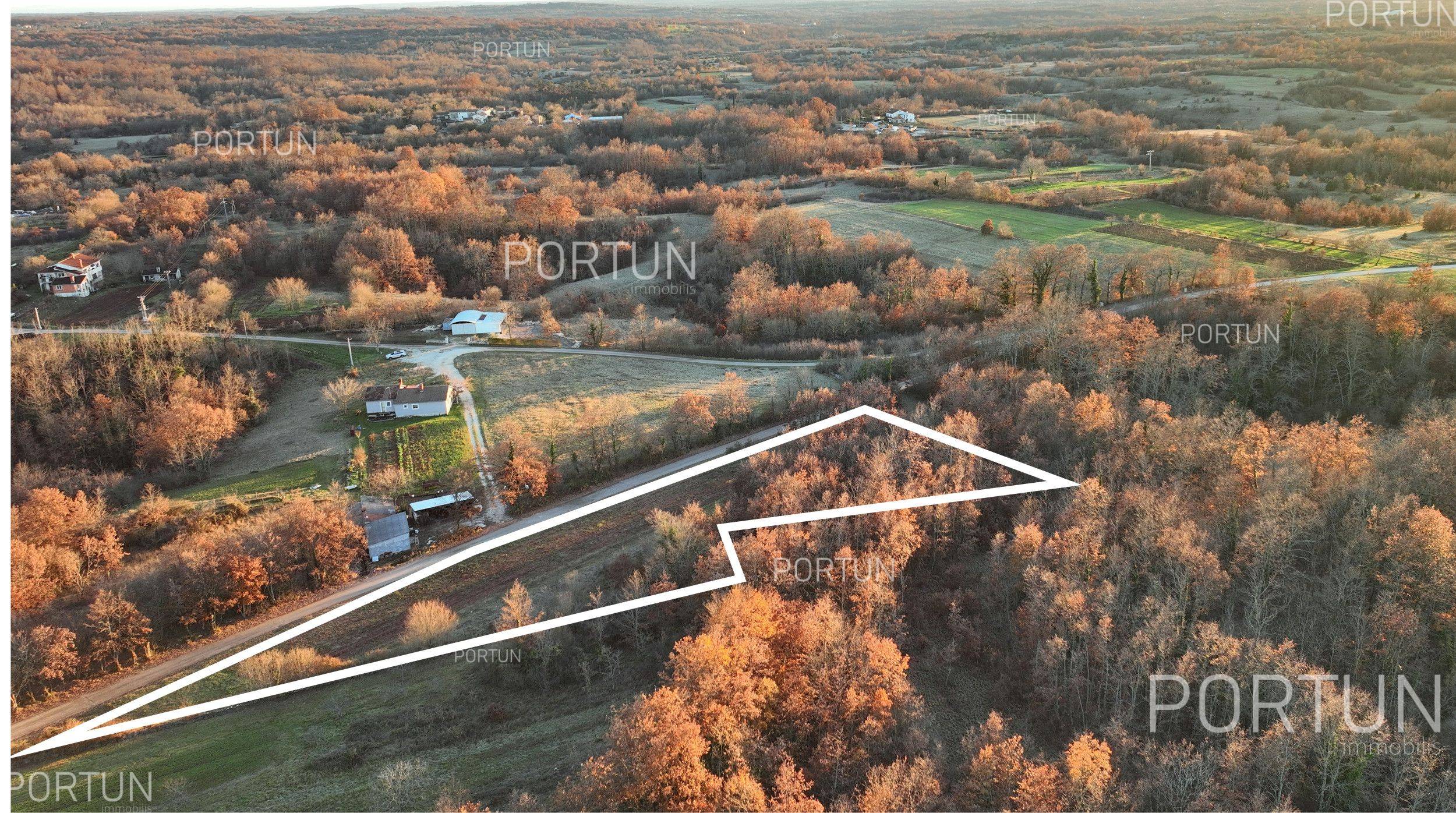 Terreno in vendita a Gimino - 40534 - 10