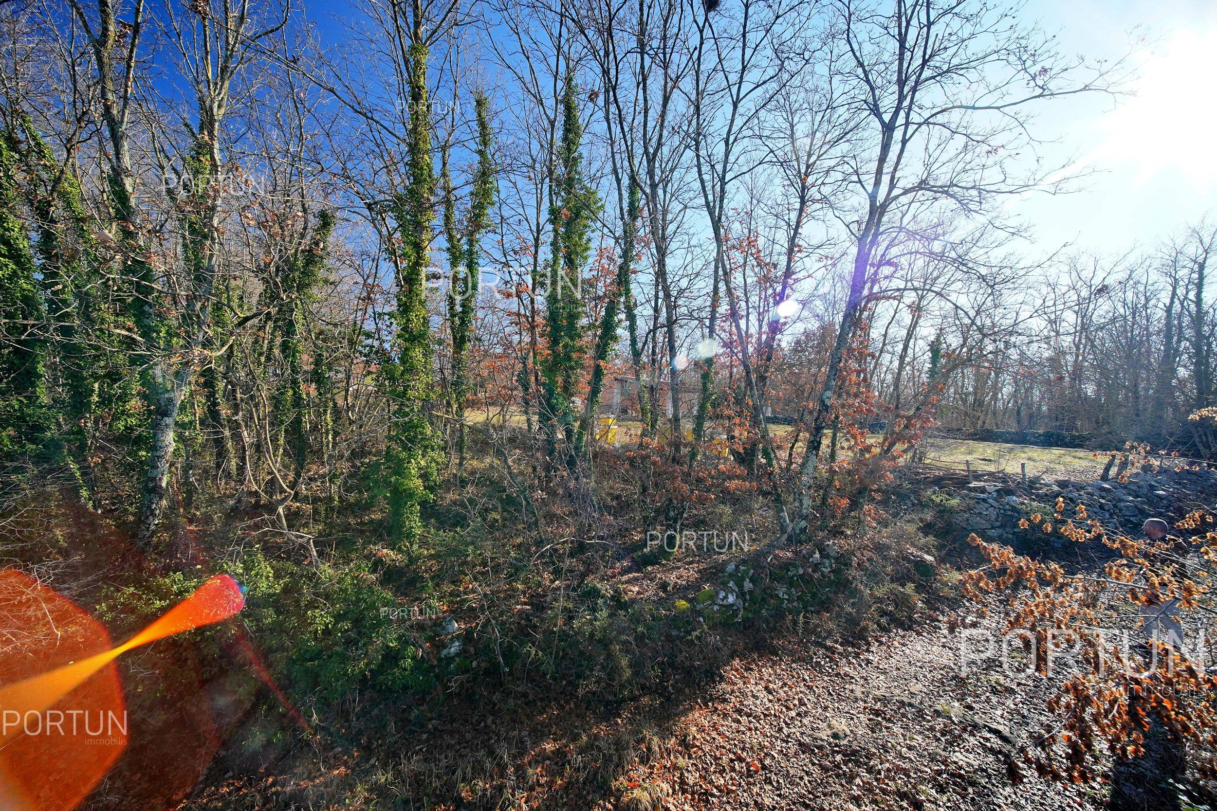 Plot of land for Sale in Žminj - 40541 - 05