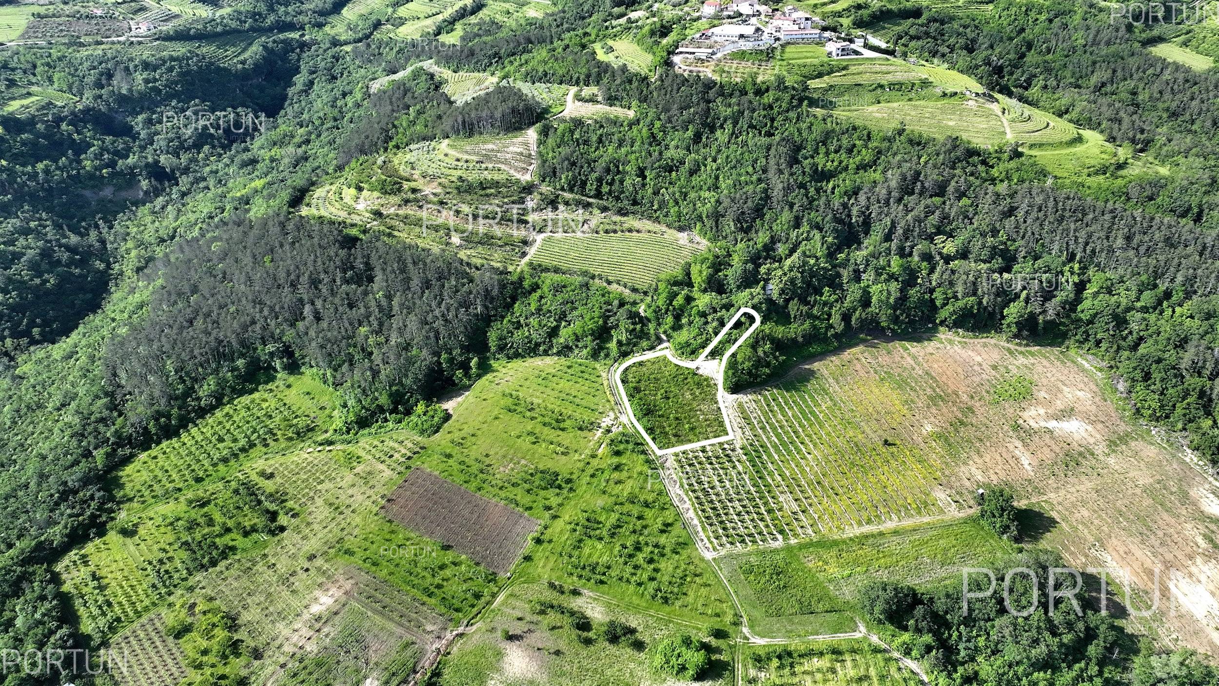Plot of land for Sale in Motovun - 40562 - 03