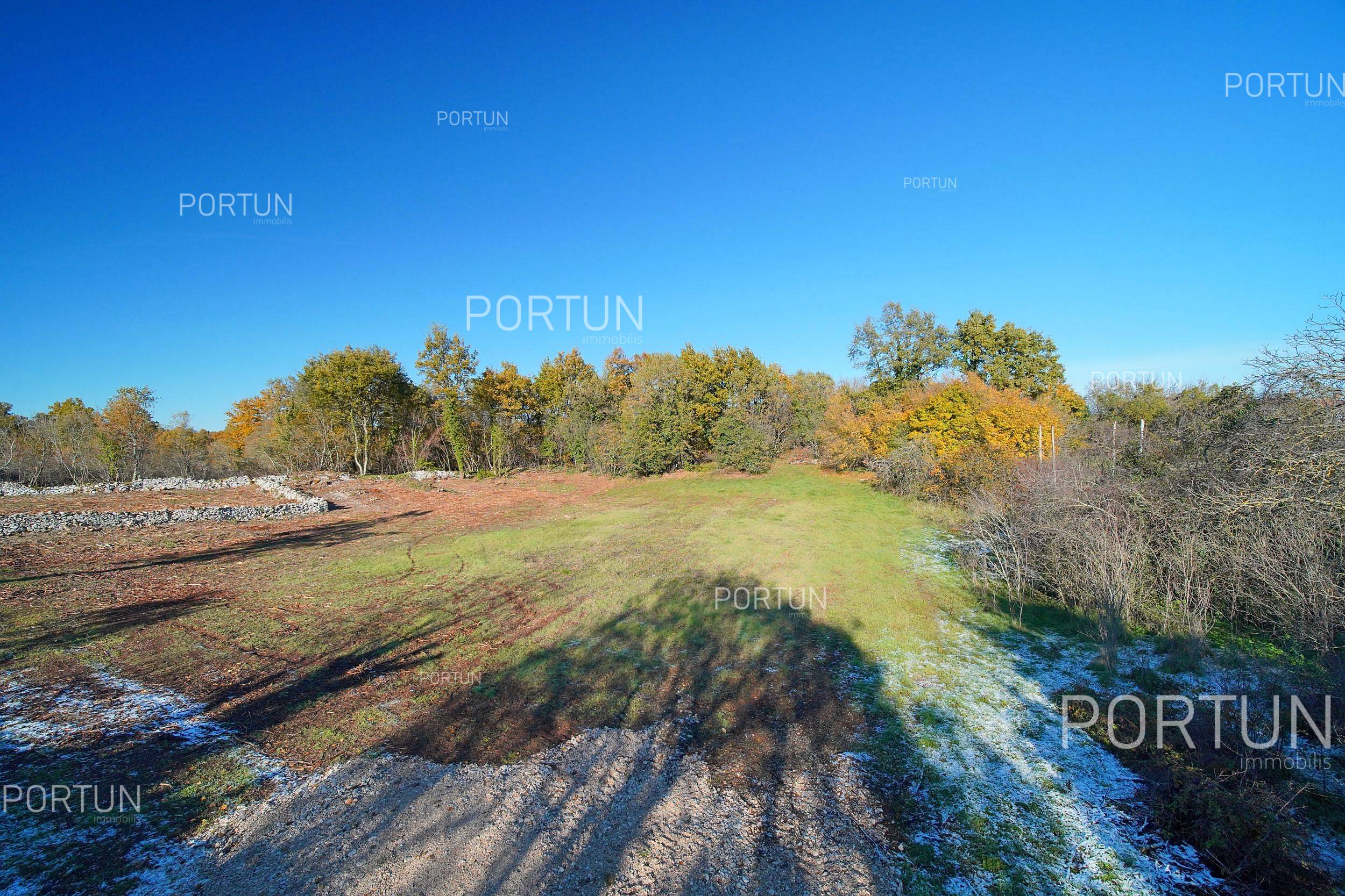 Plot of land for Sale in Svetvinčenat - 40564 - 02