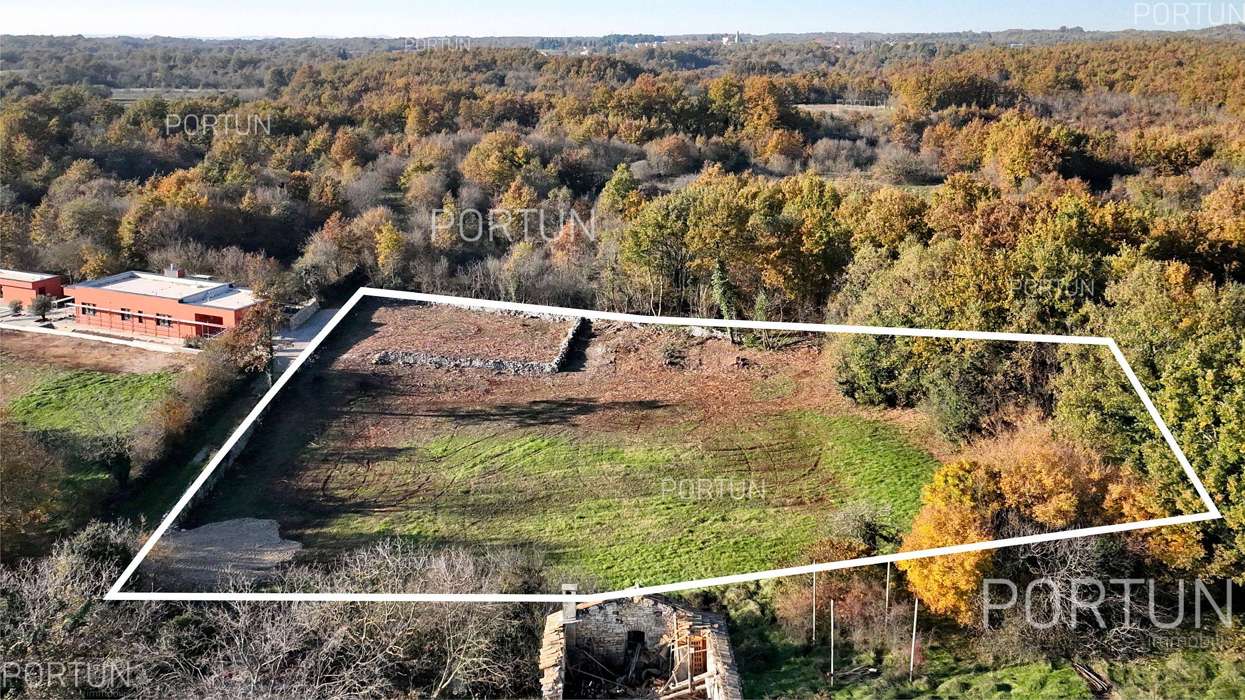 Plot of land for Sale in Svetvinčenat - 40564 - 01