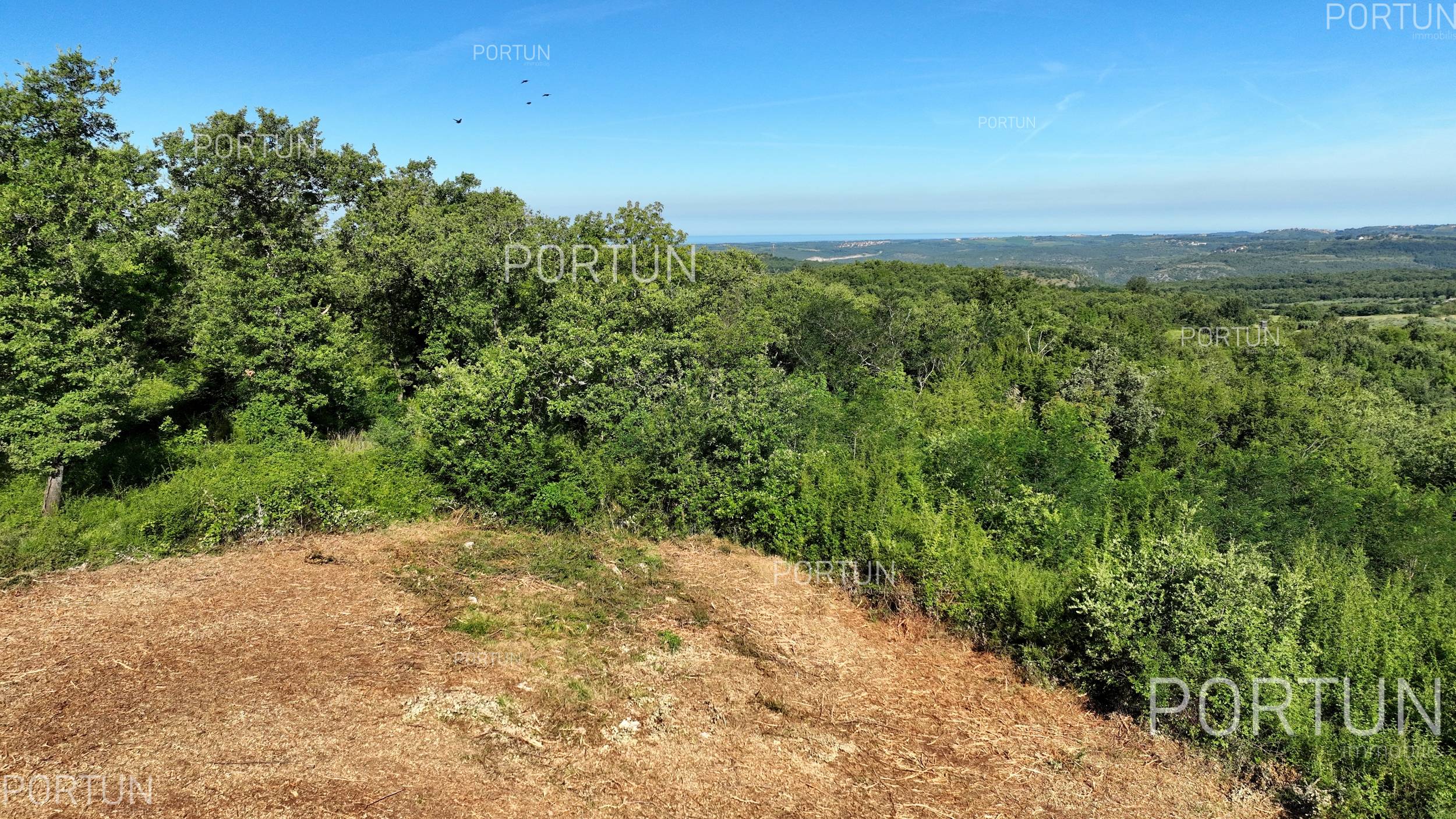 Plot of land for Sale in Vižinada - 40563 - 04