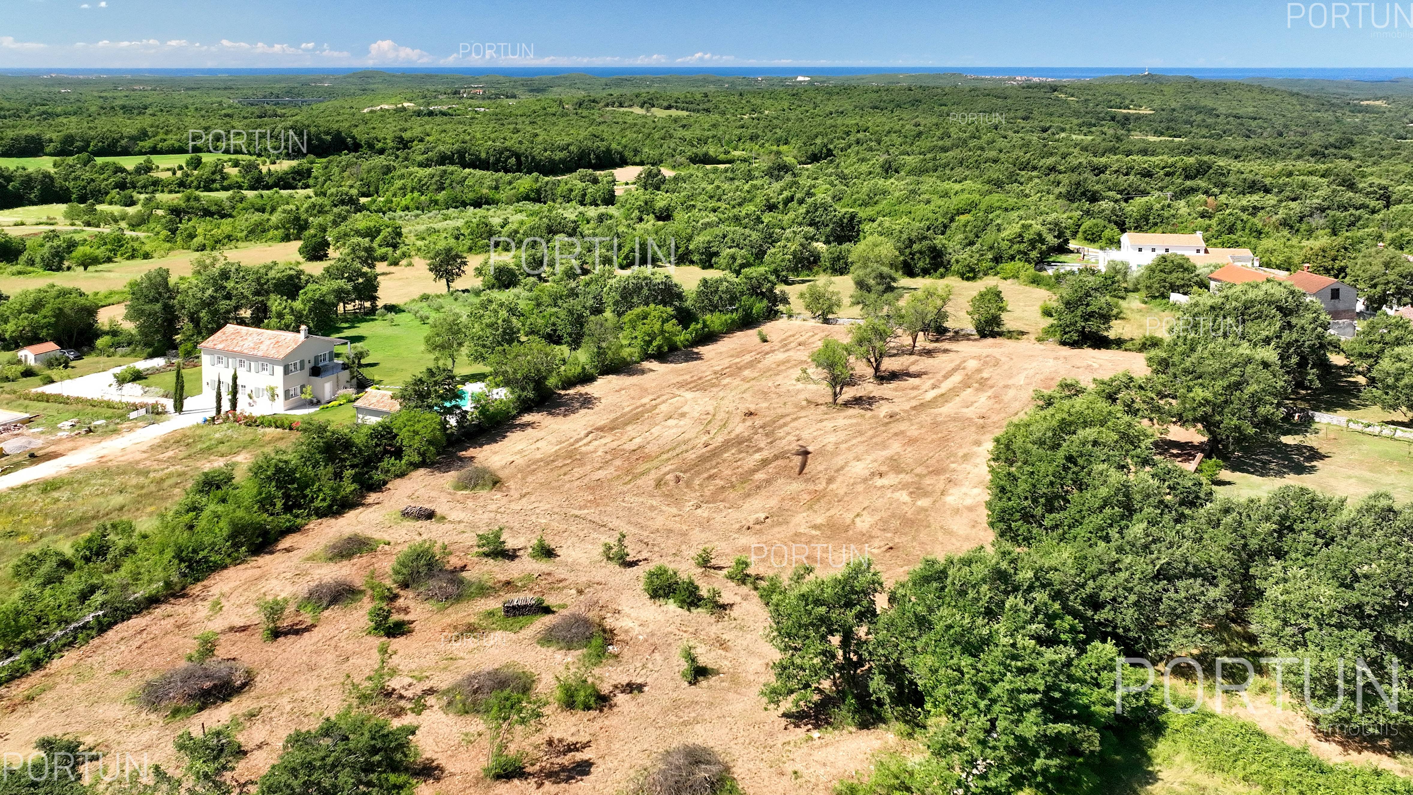 Terreno in vendita a Canfanaro - 40571 - 04