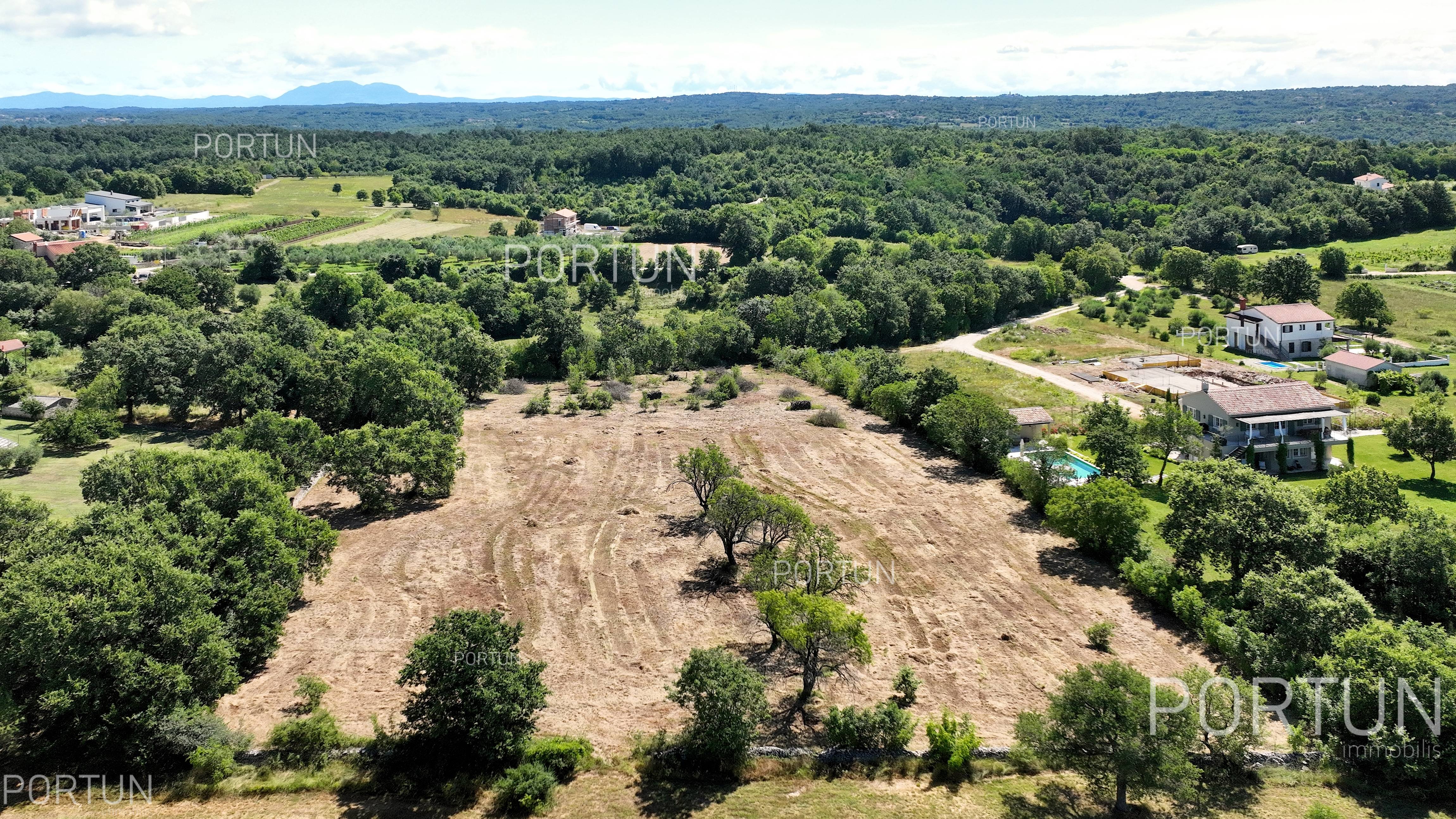 Terreno in vendita a Canfanaro - 40571 - 05