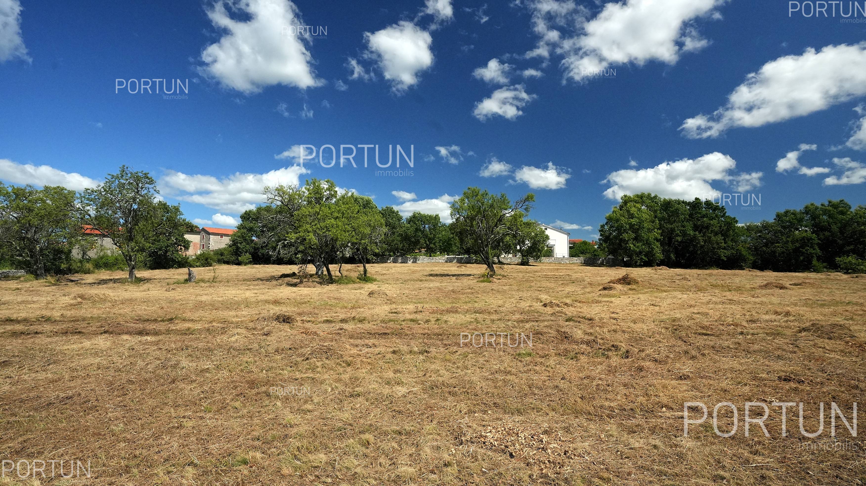 Terreno in vendita a Canfanaro - 40571 - 08
