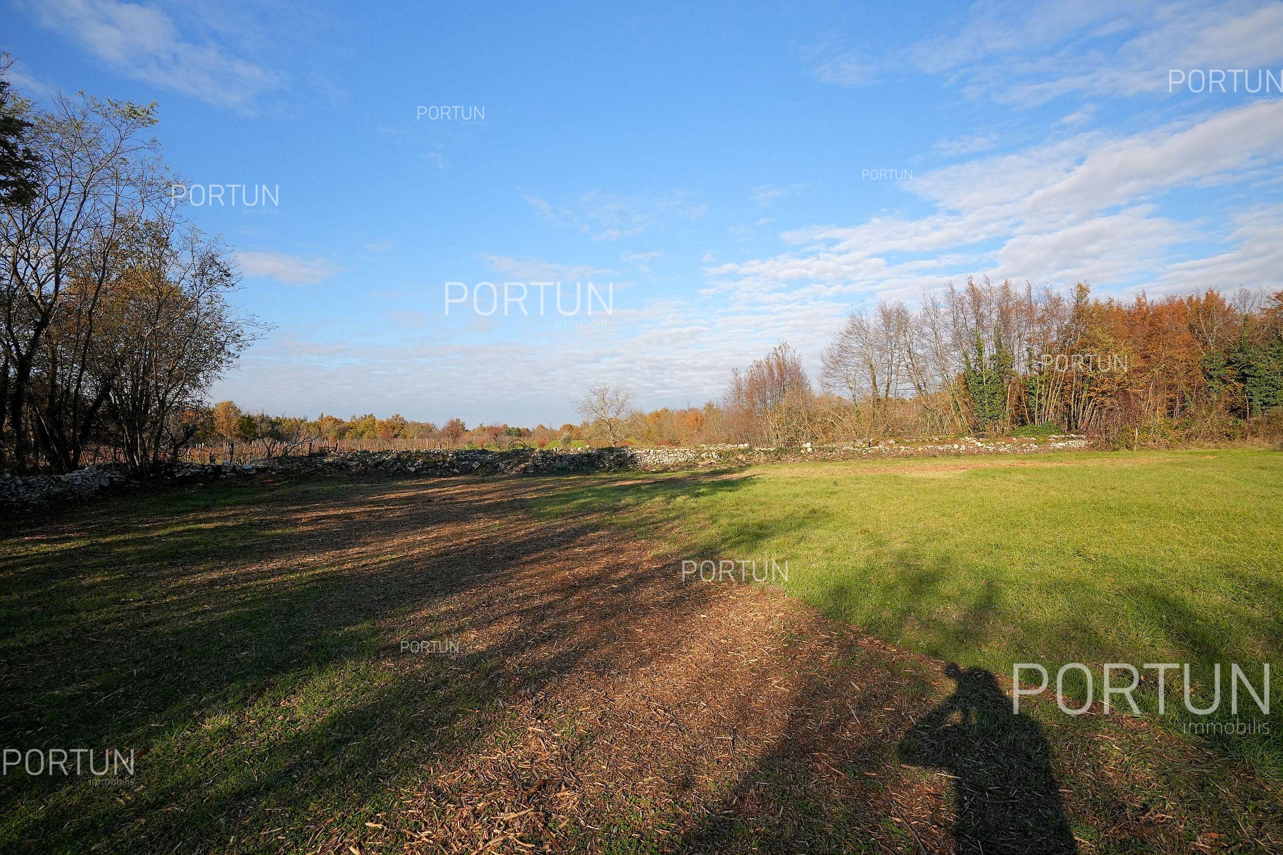 Grundstück zum Verkauf in Žminj - 40590 - 04