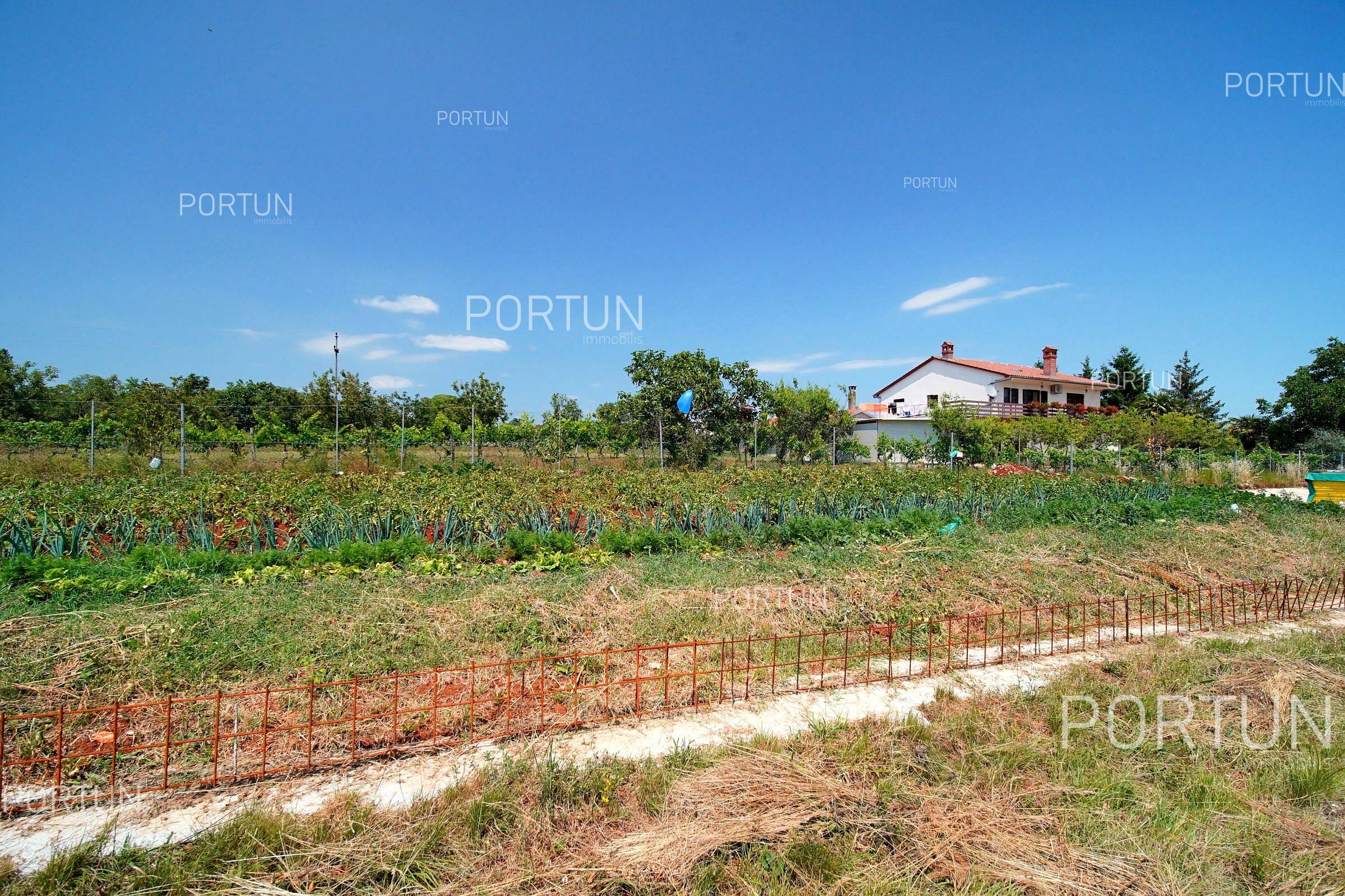 Zemljišče naprodaj v Žminj - 40636 - 03