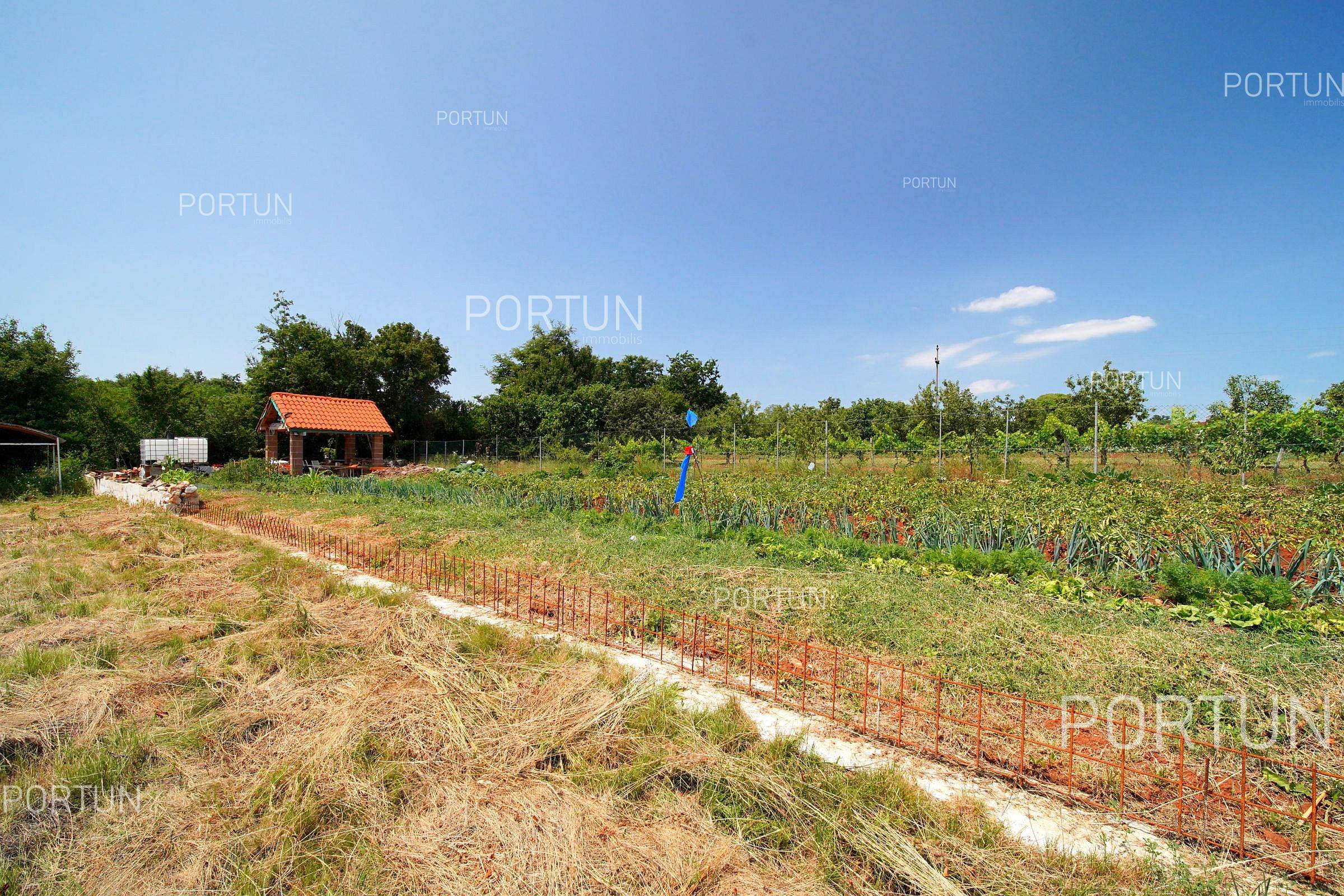 Zemljišče naprodaj v Žminj - 40636 - 04