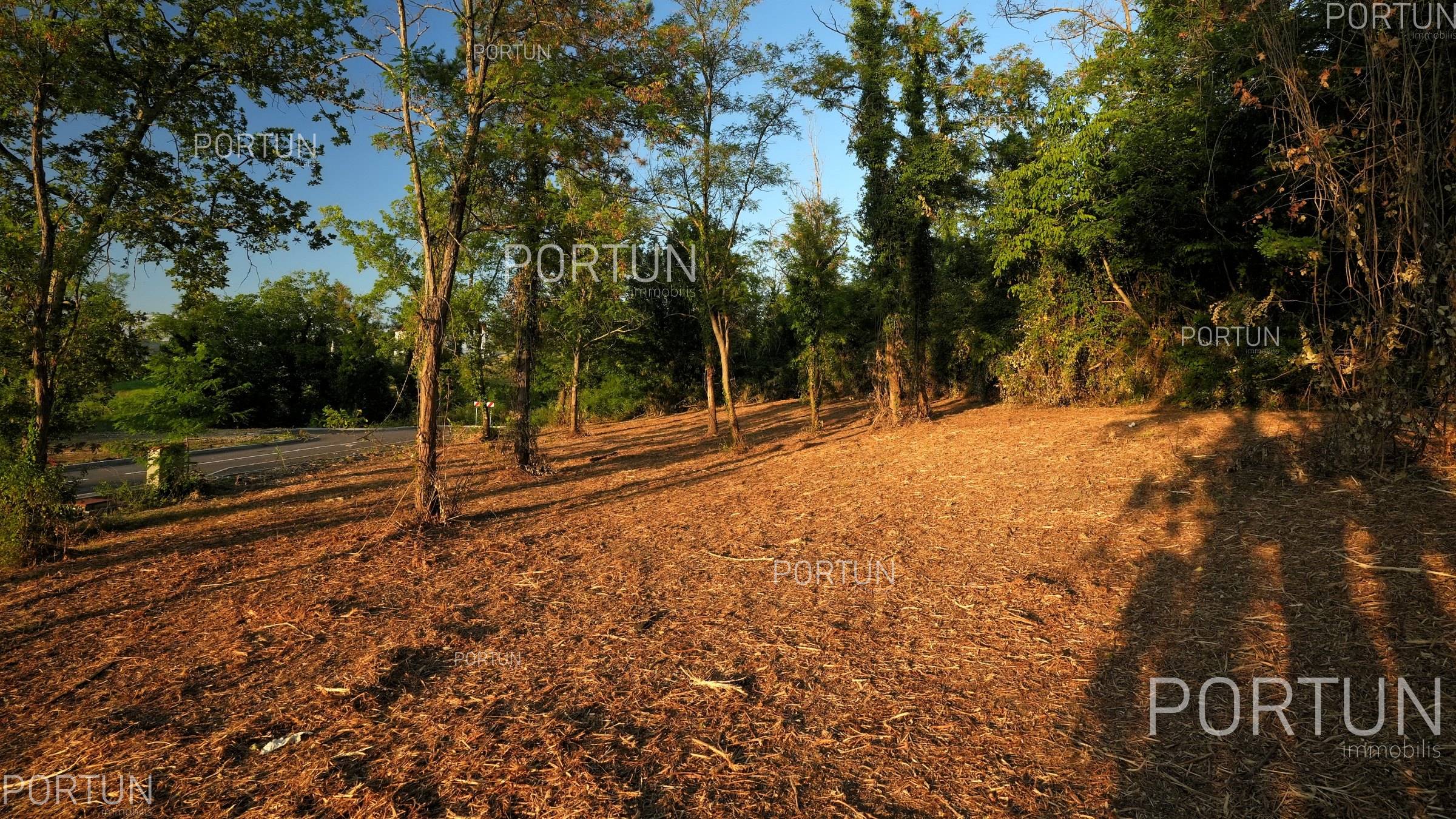 Terreno in vendita a Montona - 40633 - 05