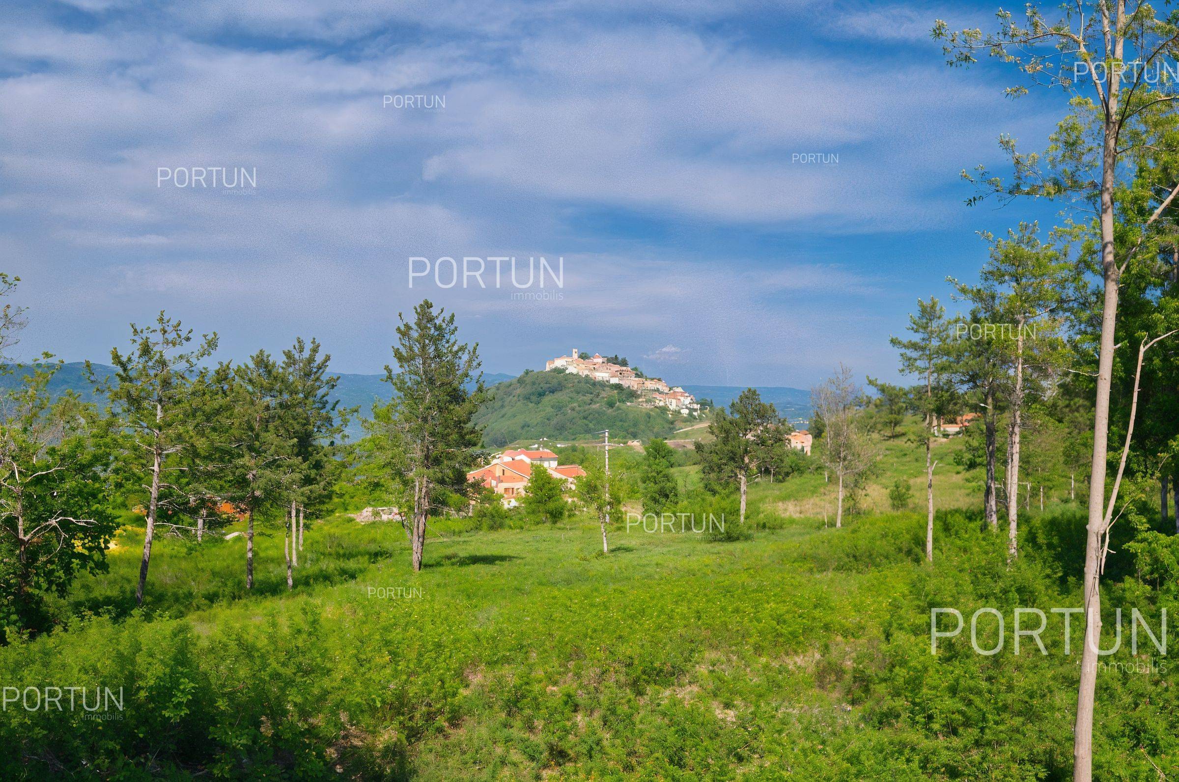 Земельна ділянка на продаж у Мотовун - 40634 - 11