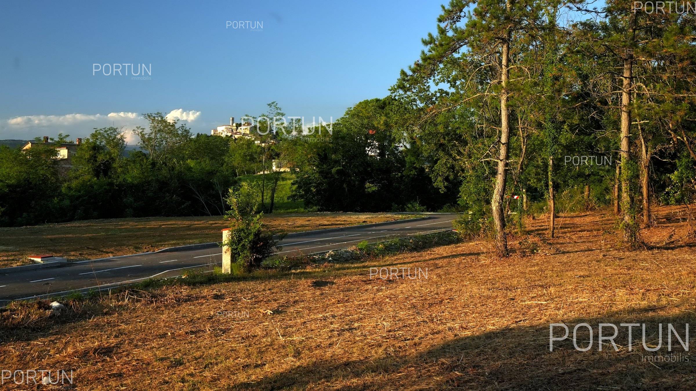 Motovun Land for Sale 0780 37