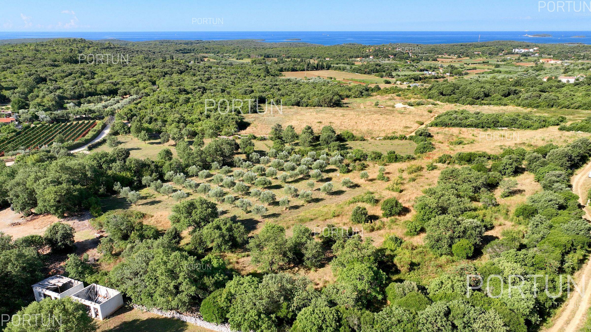 Land close to Rovinj Z 0786 01