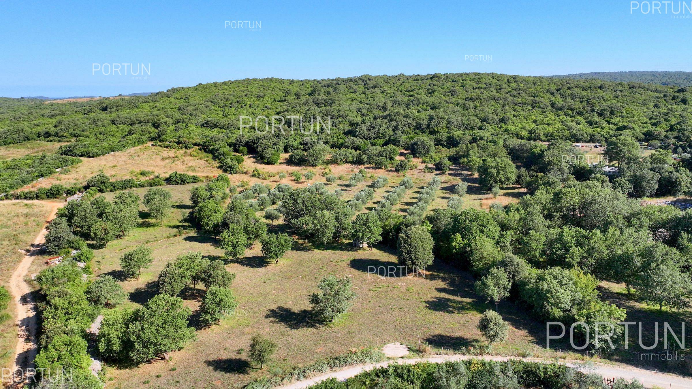 Terreno in vendita a Rovigno - 40642 - 04