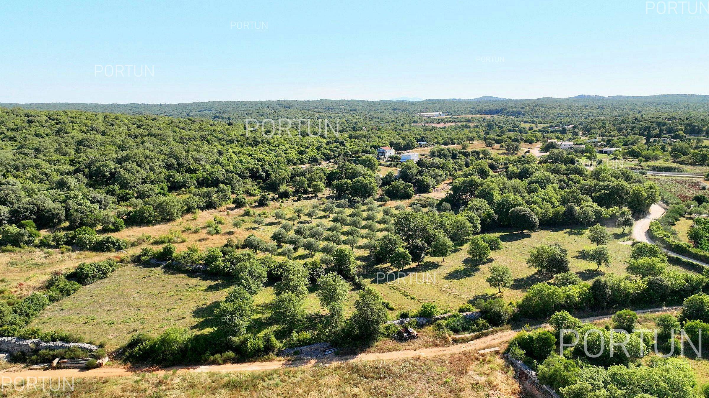 Terreno in vendita a Rovigno - 40642 - 05
