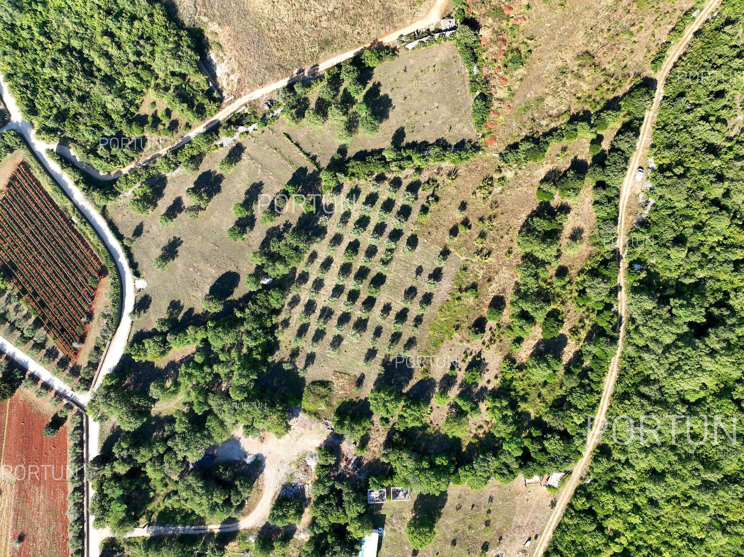 Terreno in vendita a Rovigno - 40642 - 07