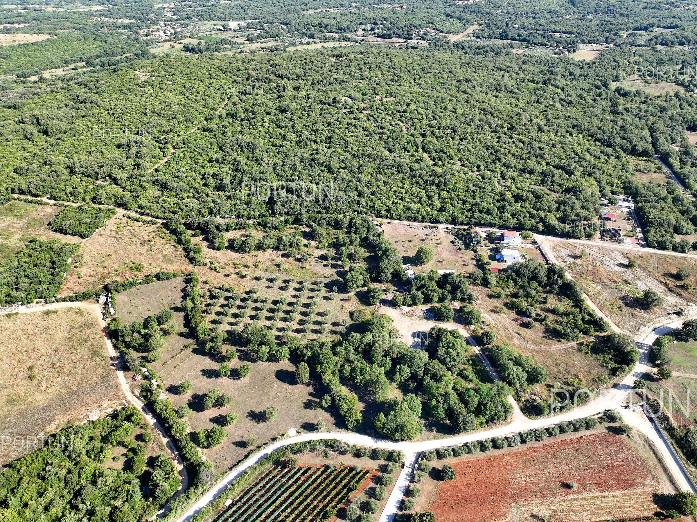 Terreno in vendita a Rovigno - 40642 - 10