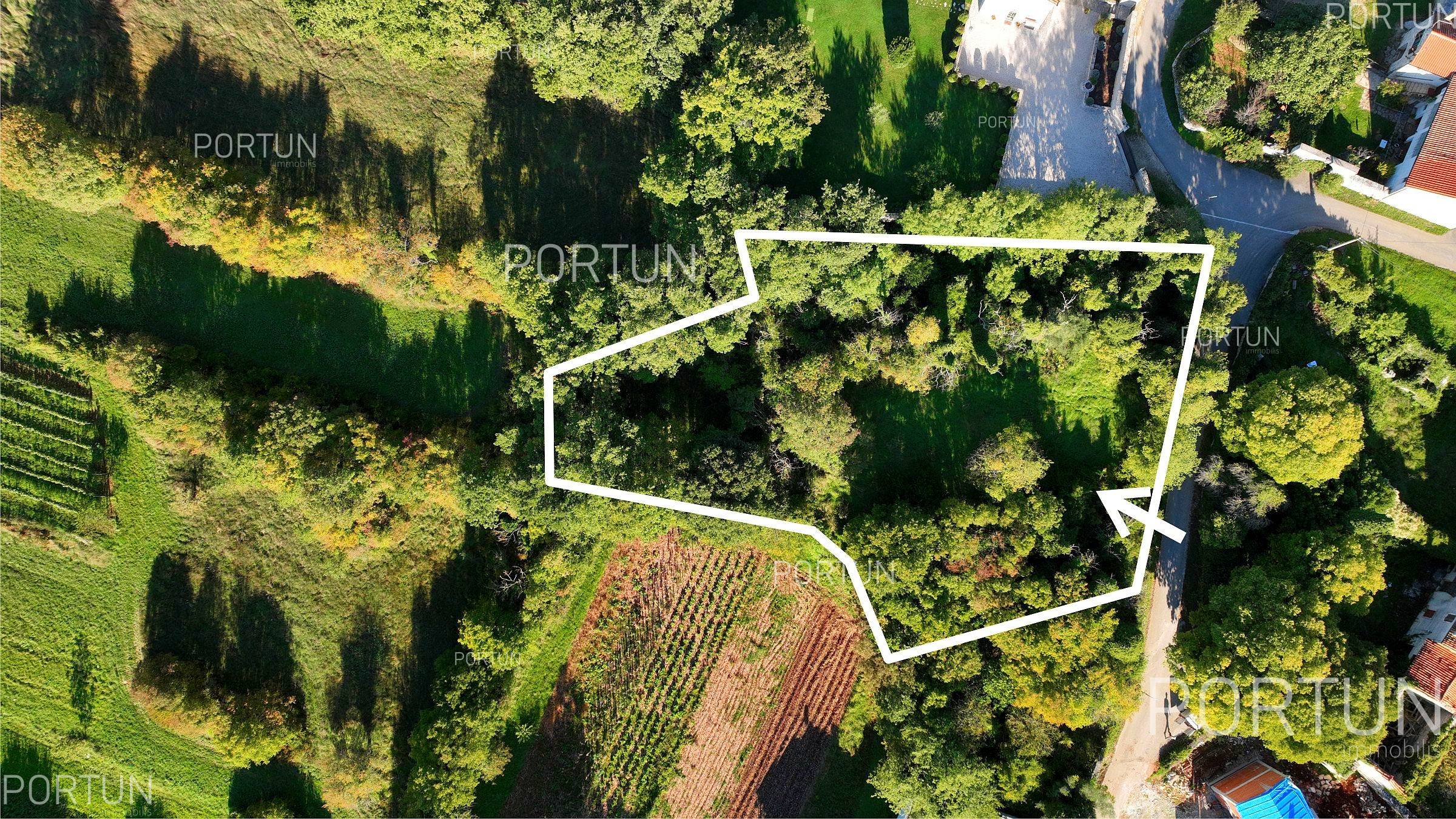 Земельна ділянка на продаж у Св. Ловреч - 40644 - 08