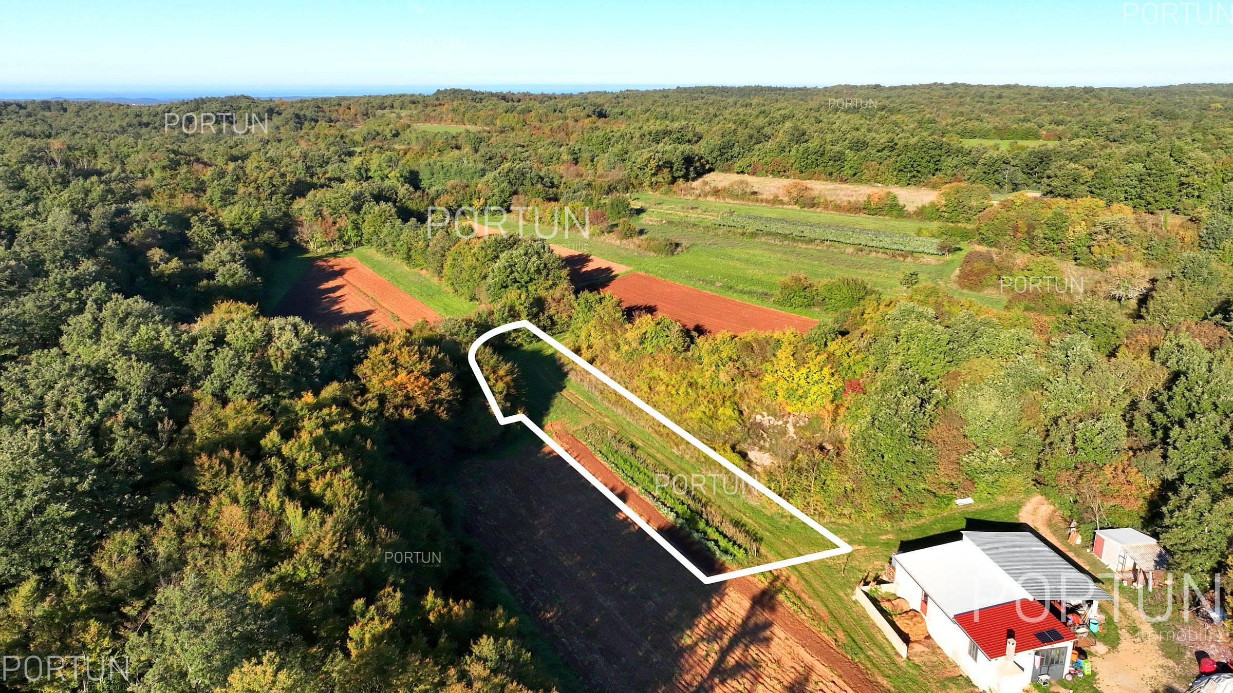 Farm land near Sveti Lovreč Z 0791 05