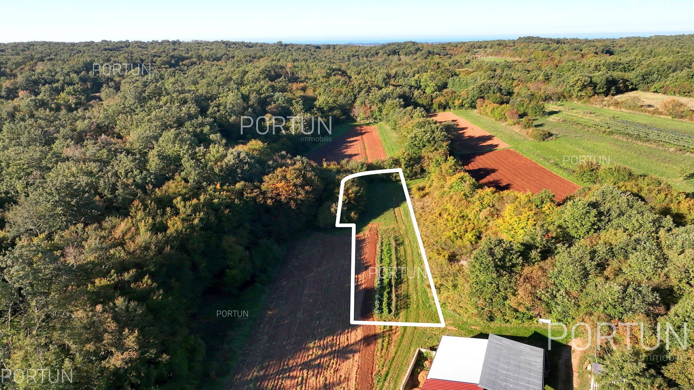 Terreno in vendita a San Lorenzo - 40647 - 02
