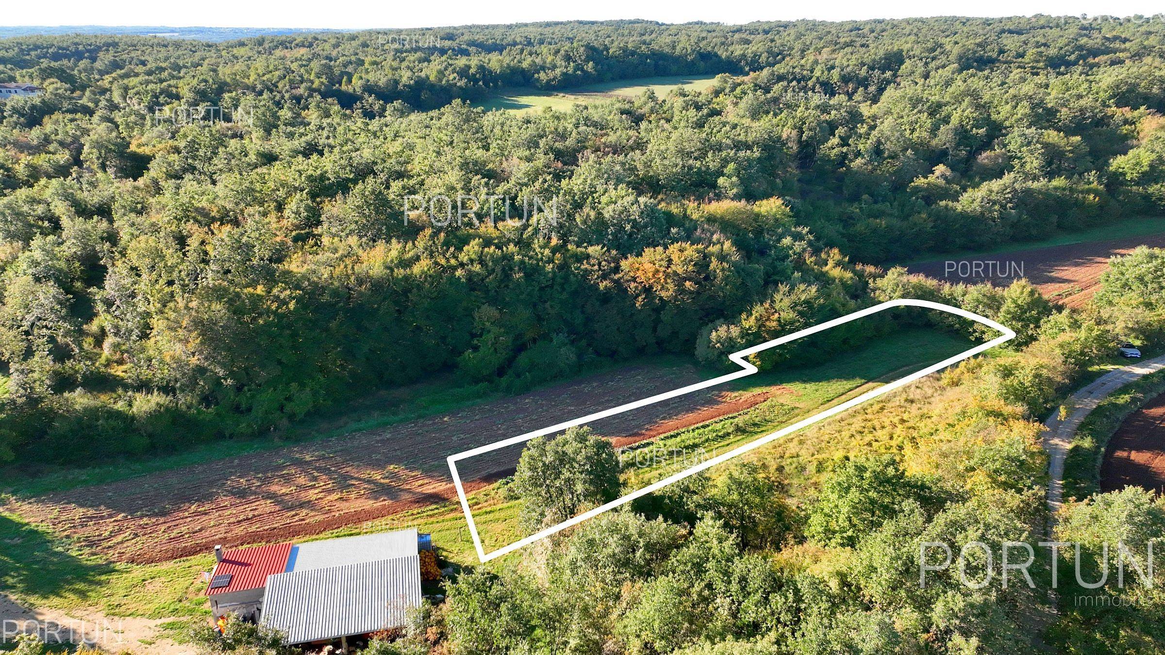 Terreno in vendita a San Lorenzo - 40647 - 03