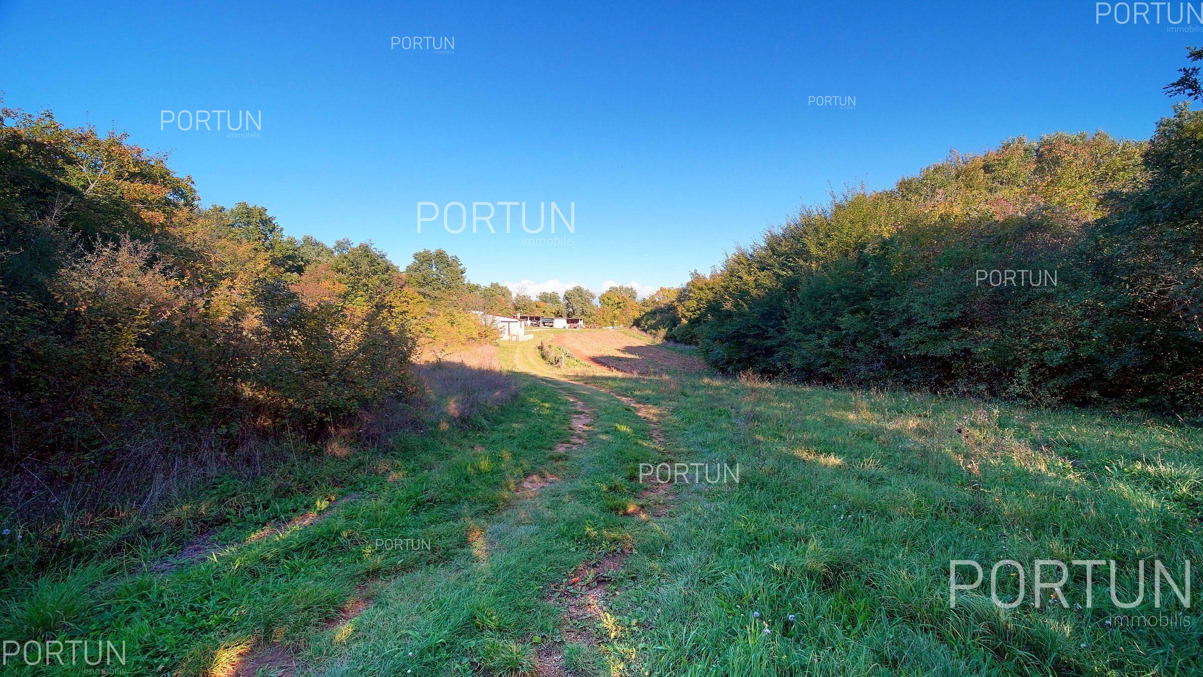 Terreno in vendita a San Lorenzo - 40647 - 06