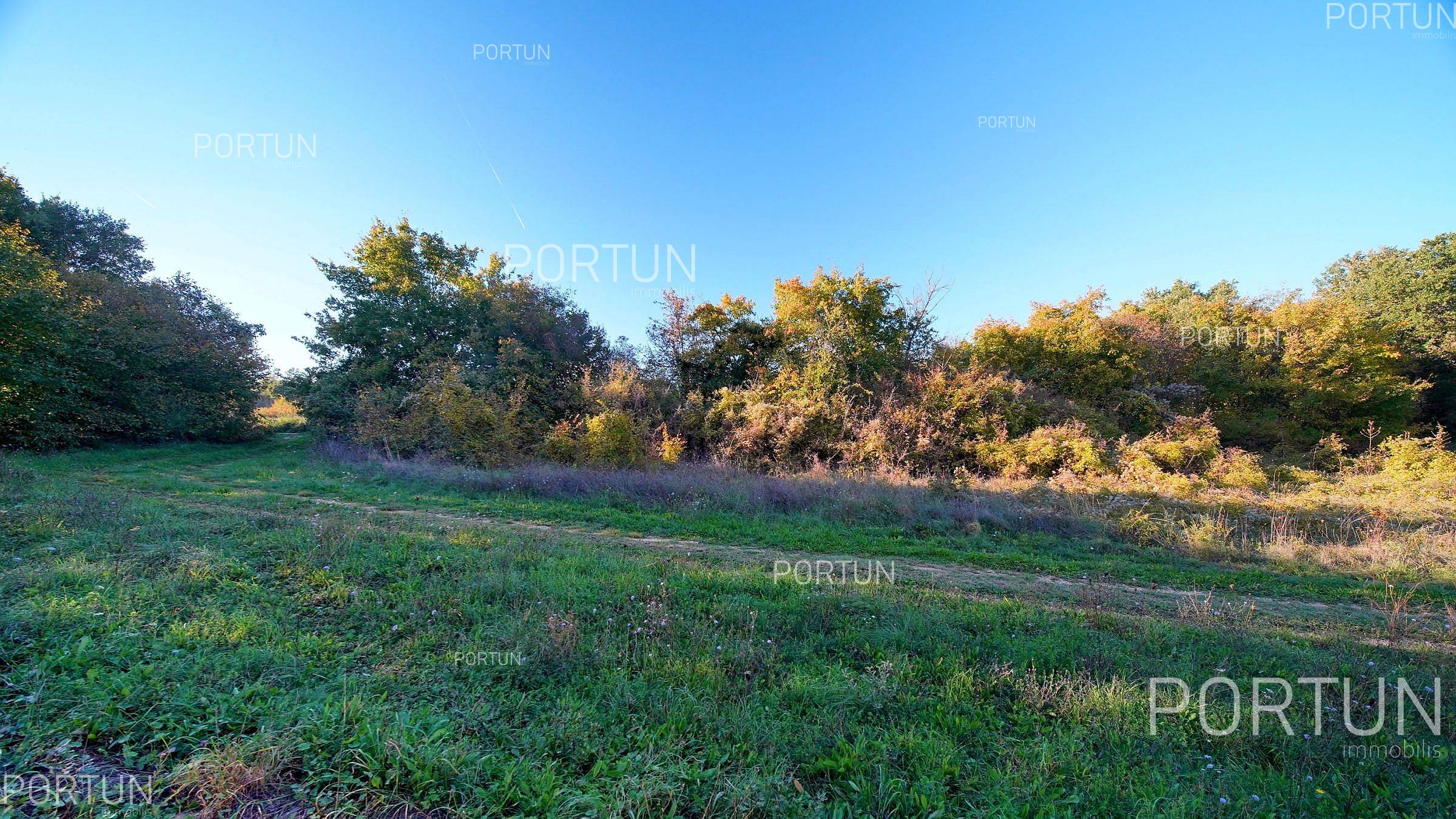 Terreno in vendita a San Lorenzo - 40647 - 07