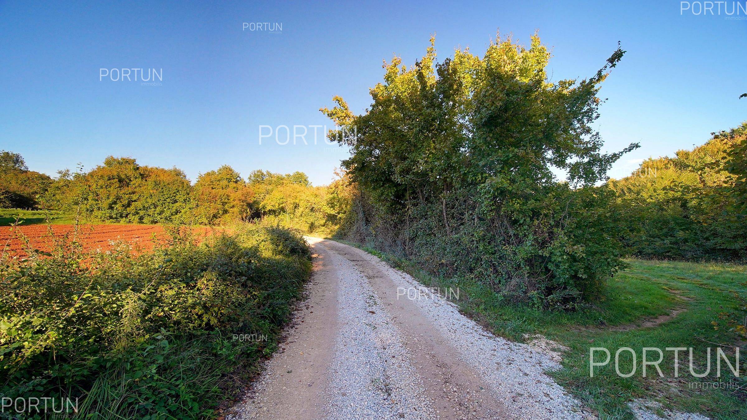 Terreno in vendita a San Lorenzo - 40647 - 08