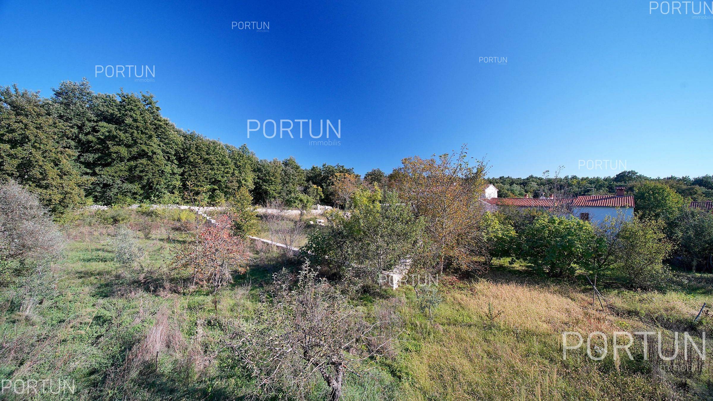 Zemljišče naprodaj v Žminj - 40653 - 05