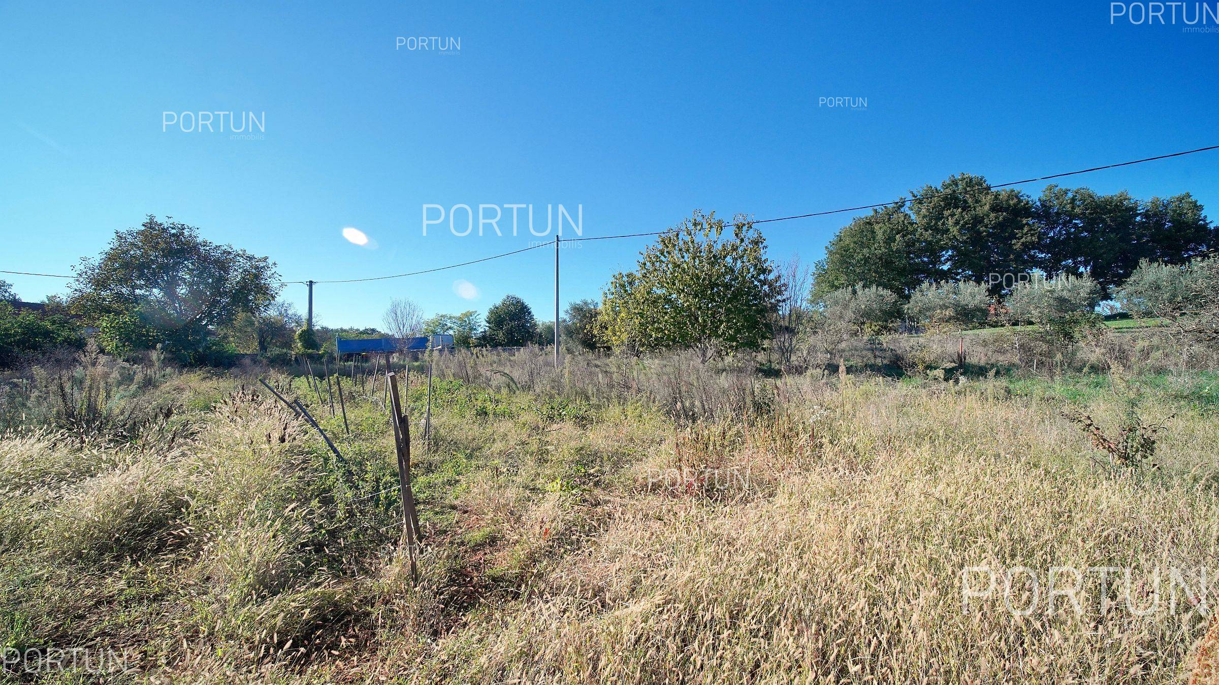 Zemljišče naprodaj v Žminj - 40653 - 06