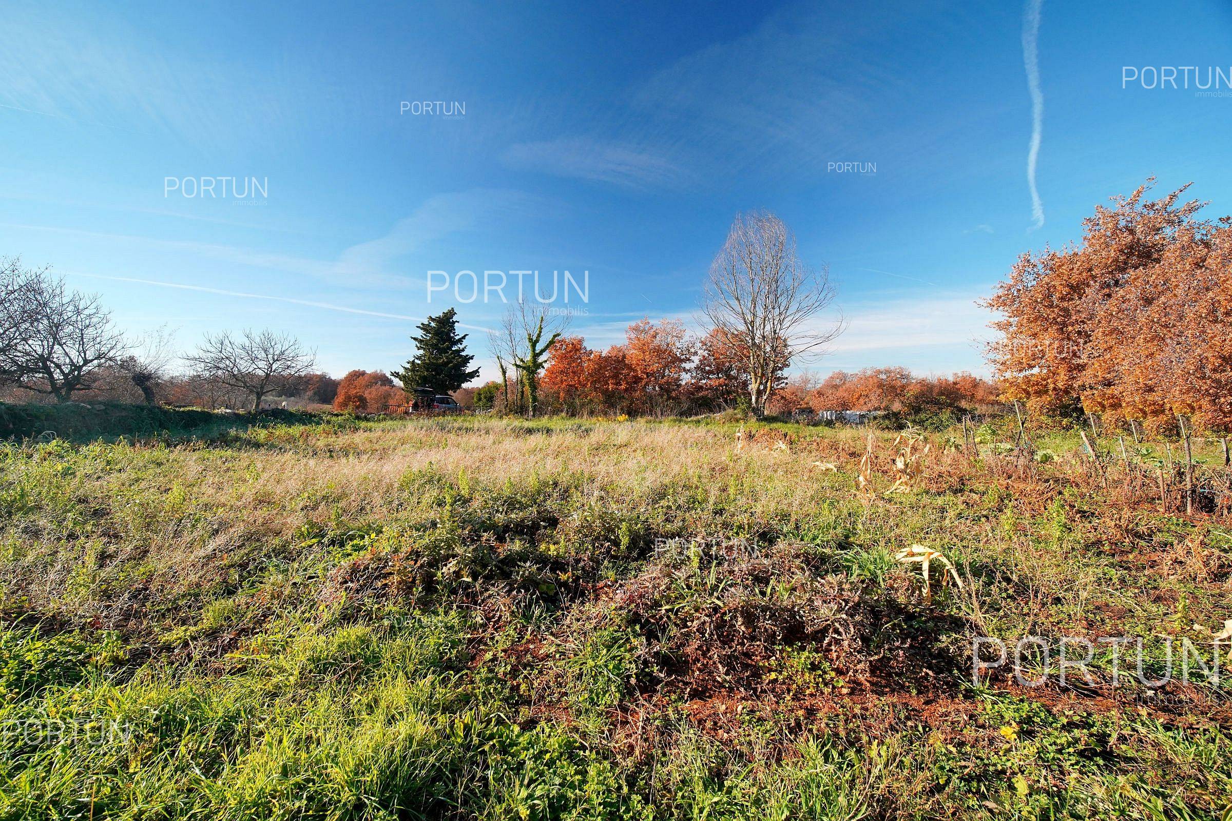 Terreno in vendita a Gimino - 40657 - 01