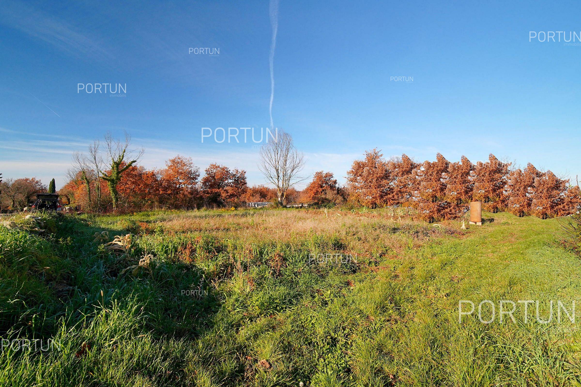 Terreno in vendita a Gimino - 40657 - 02