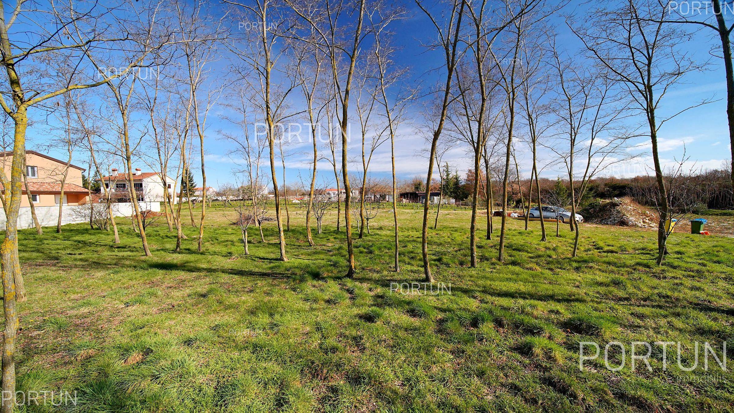 Terreno in vendita a Canfanaro - 40658 - 01