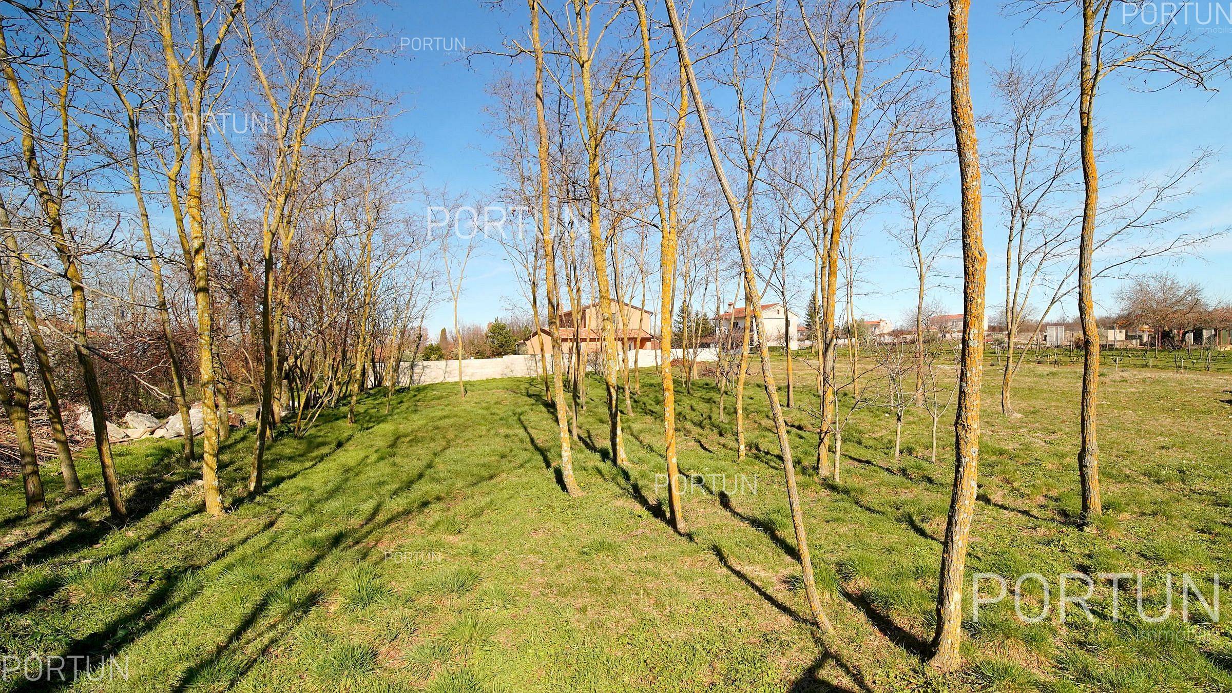 Terreno in vendita a Canfanaro - 40658 - 02