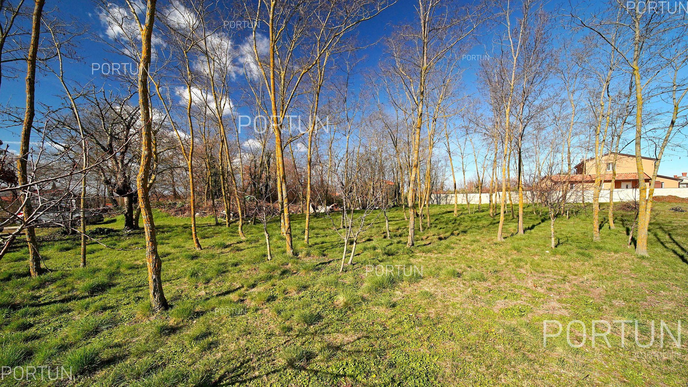 Terreno in vendita a Canfanaro - 40658 - 03