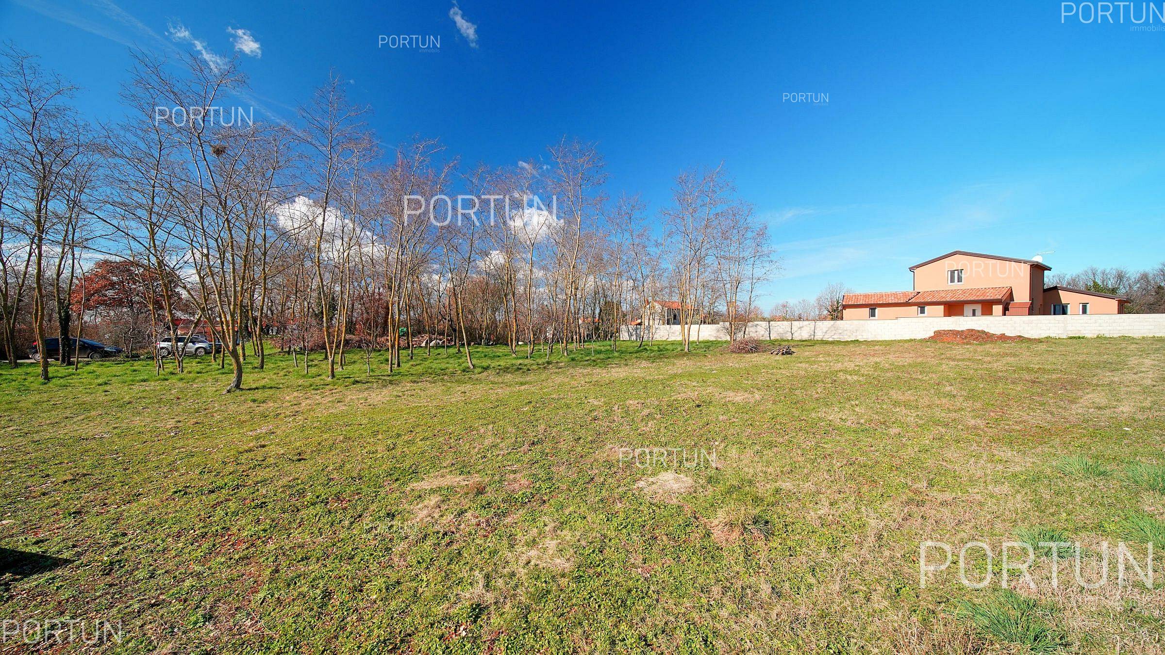 Terreno in vendita a Canfanaro - 40658 - 04