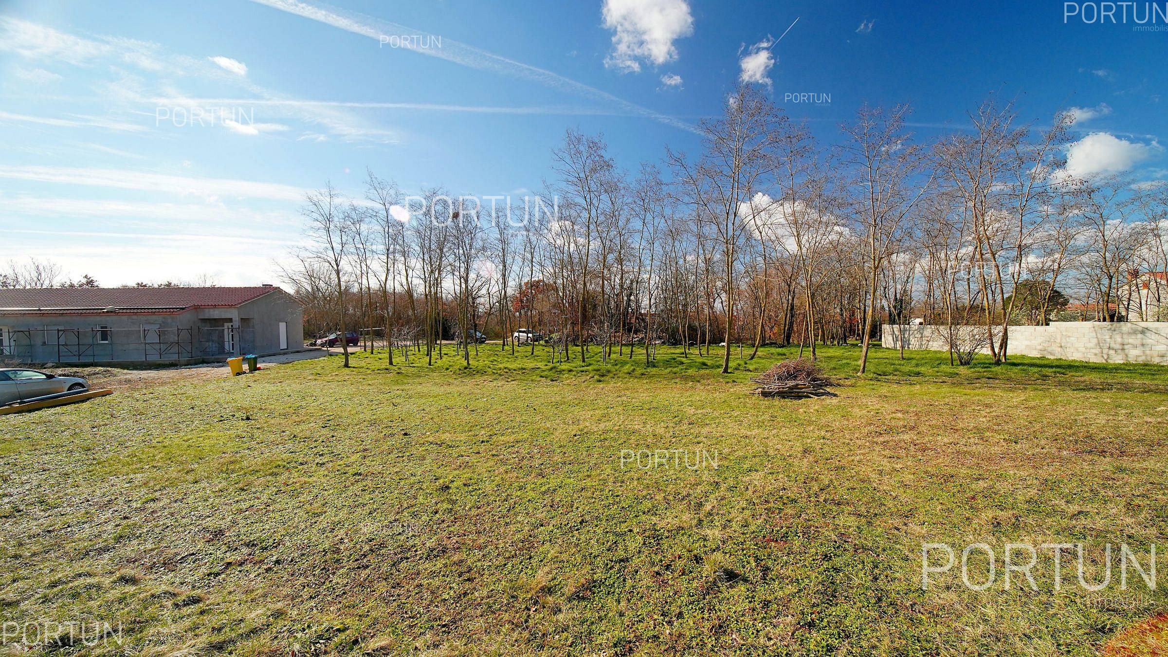 Terreno in vendita a Canfanaro - 40658 - 05