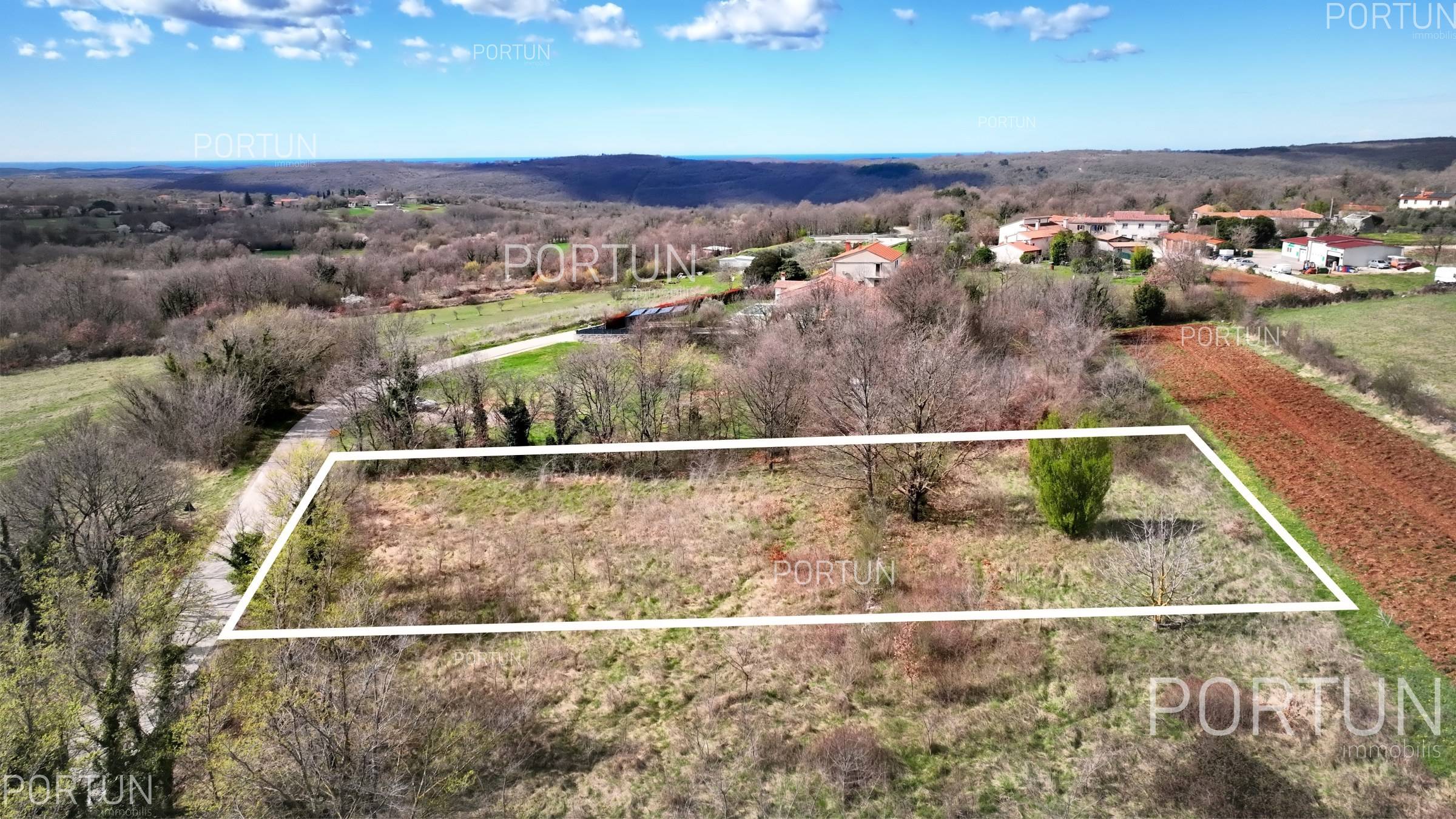 Terreno in vendita a Gimino - 40660 - 05