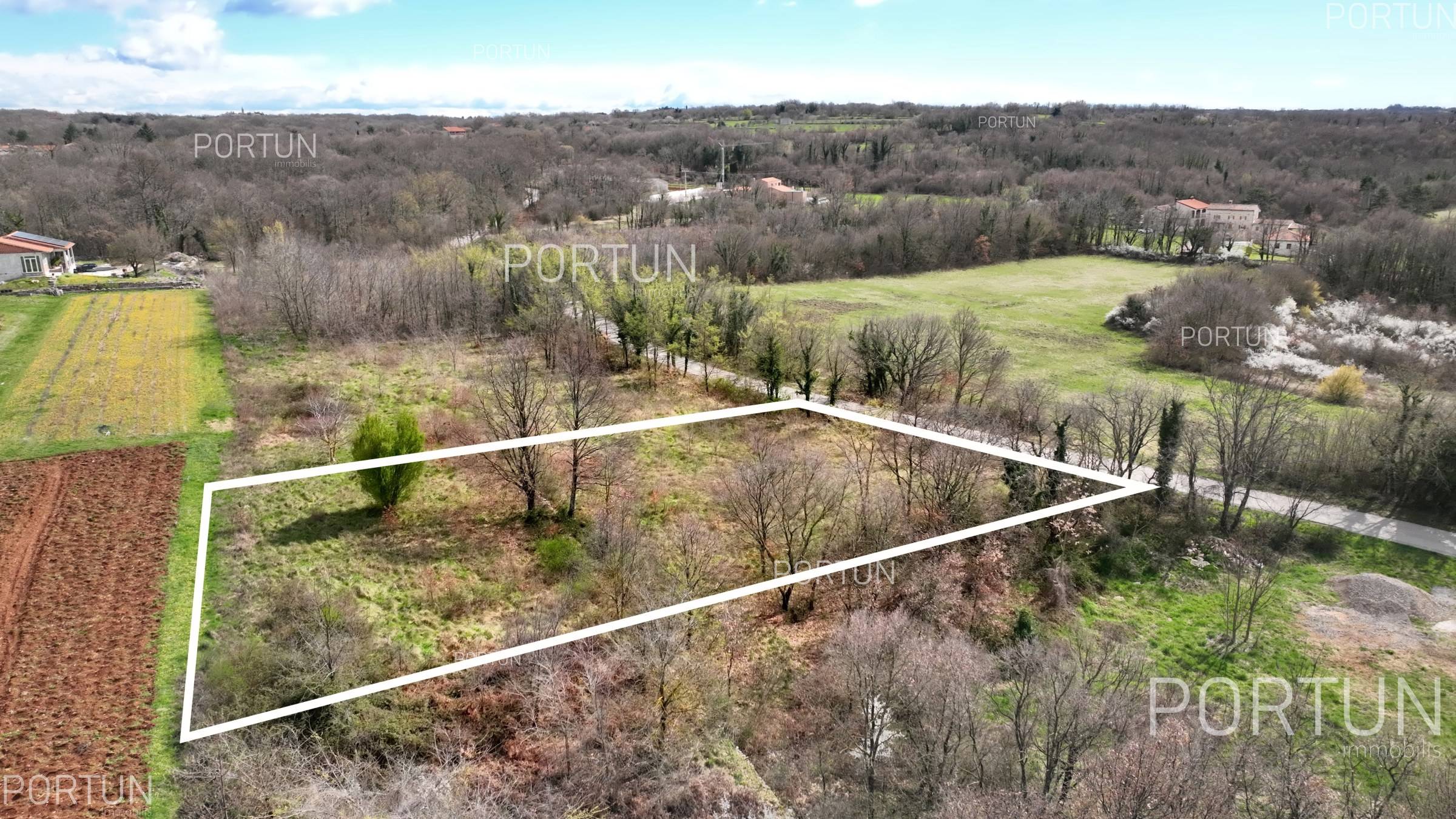 Terreno in vendita a Gimino - 40660 - 06