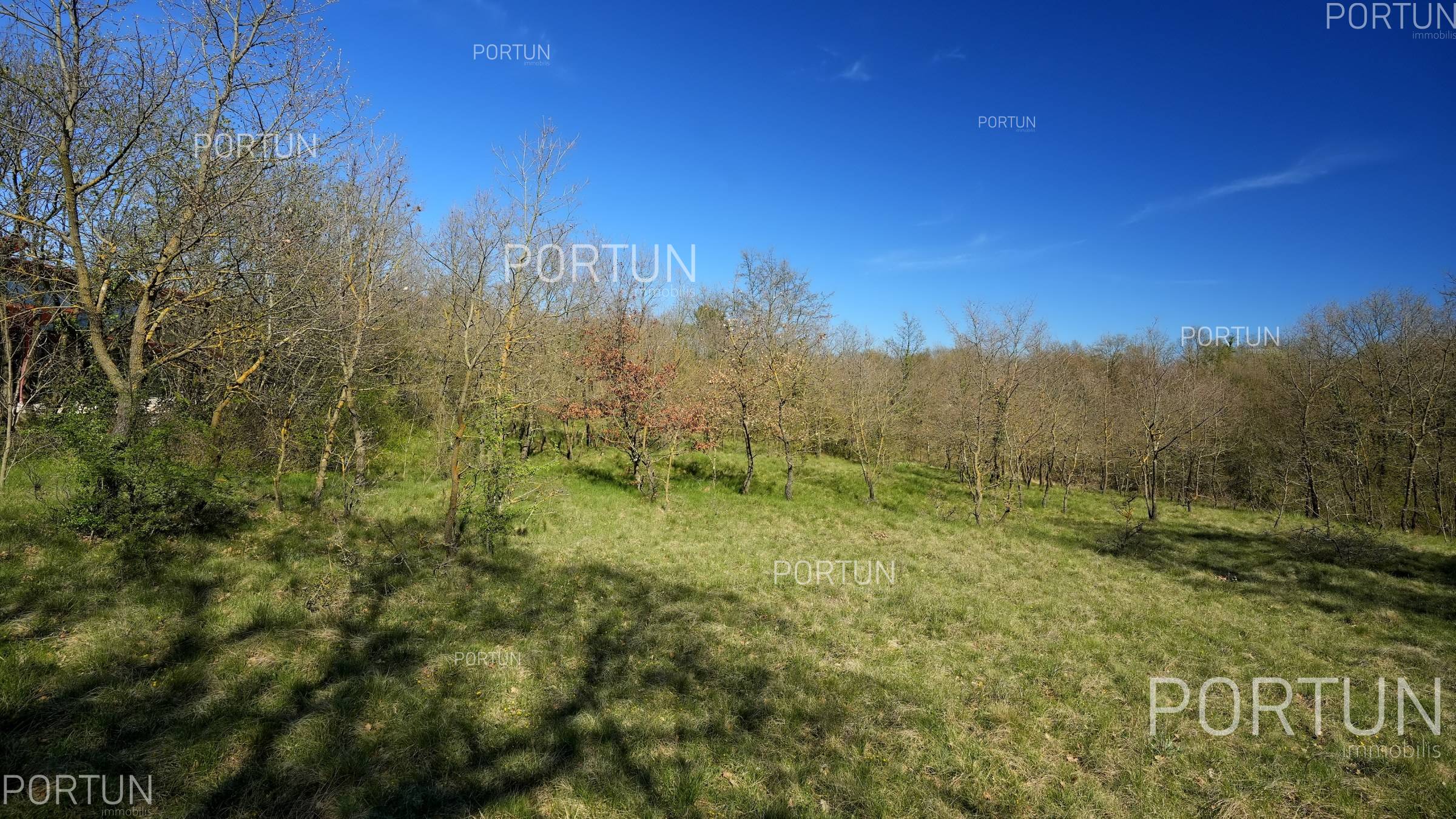 Great opportunity in the area of Istria Žminj 406xx 16