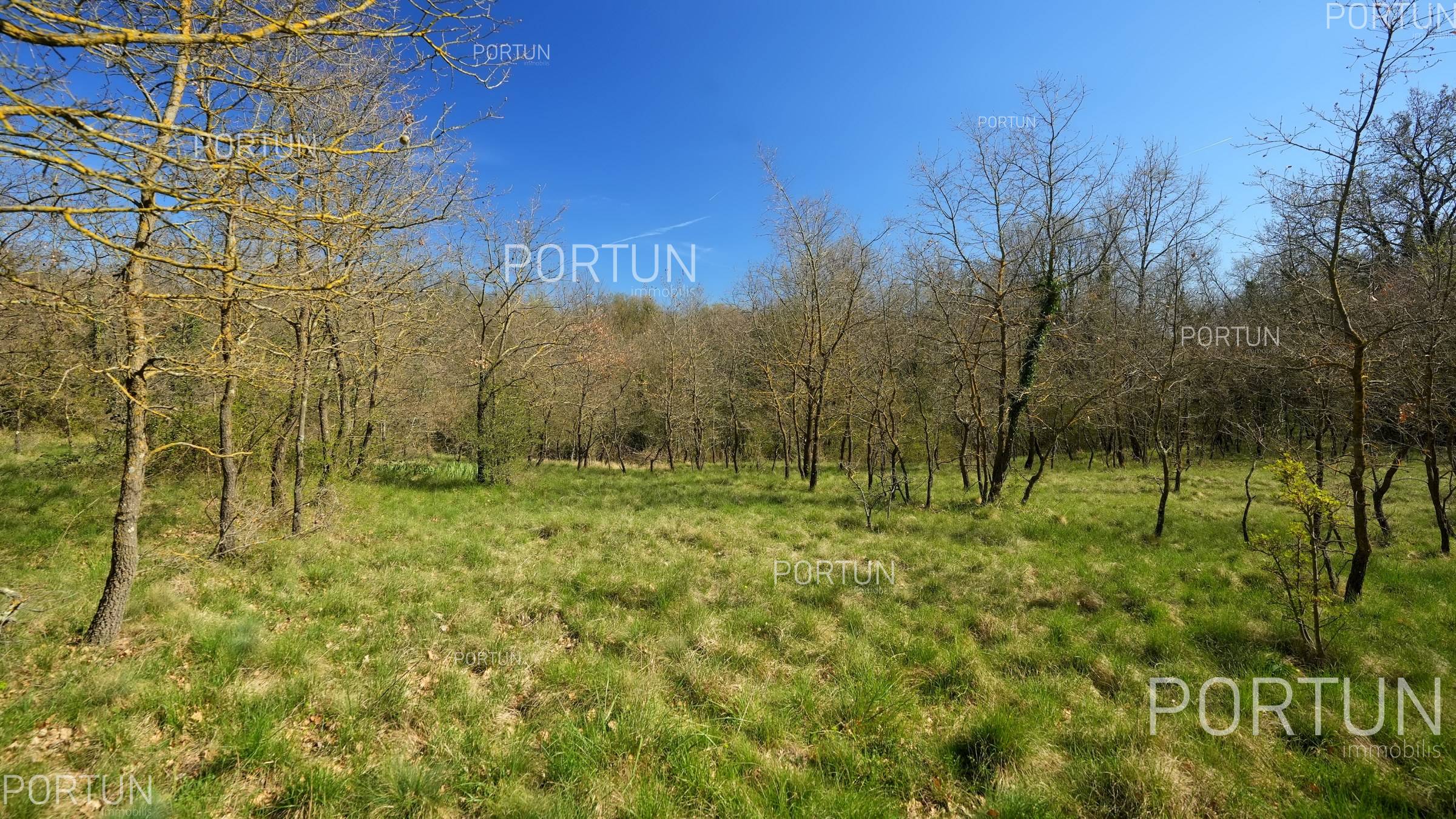 Земельный участок на продажу в Жминь - 40666 - 05