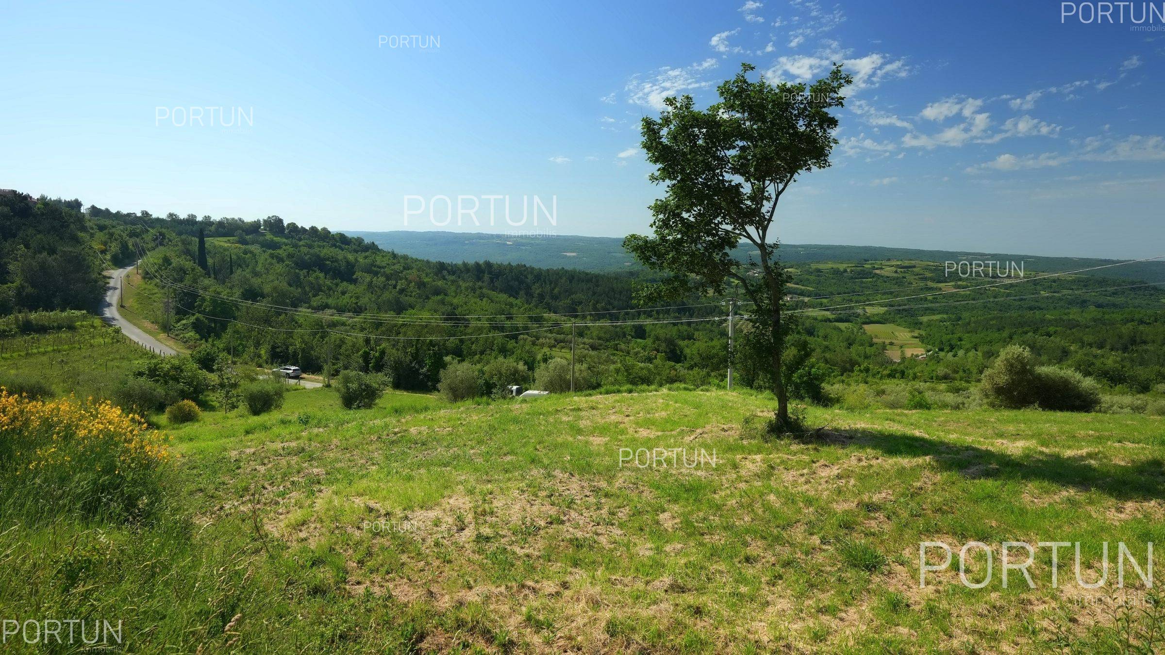 Grundstück zum Verkauf in Grožnjan - 40670 - 04