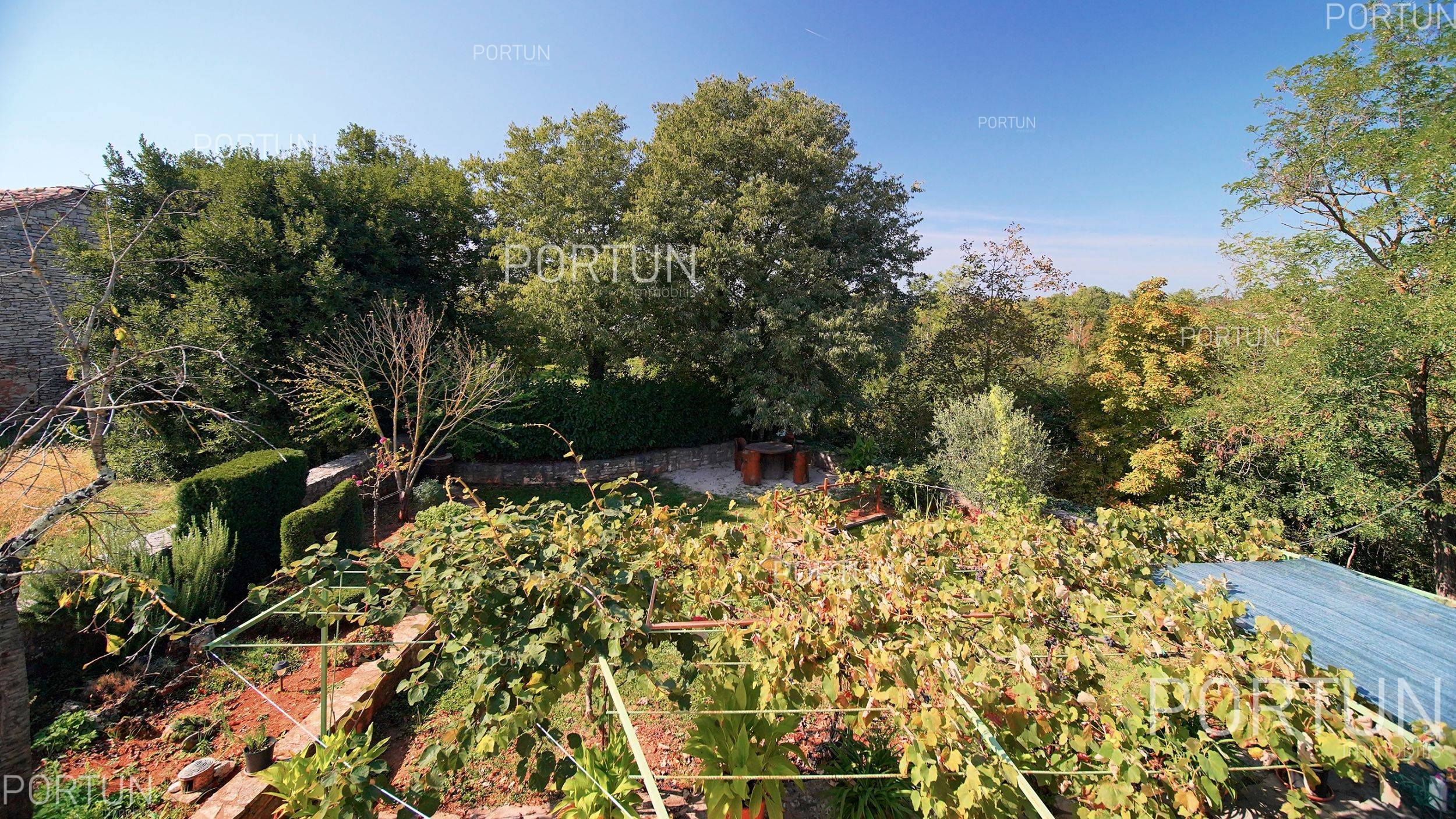 Casa in vendita a Gimino - 20797 - 03