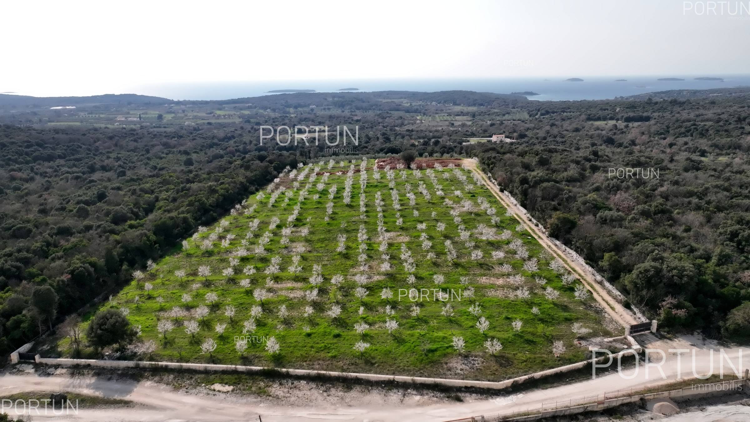 Zemljišče naprodaj v Rovinj - 40514 - 03