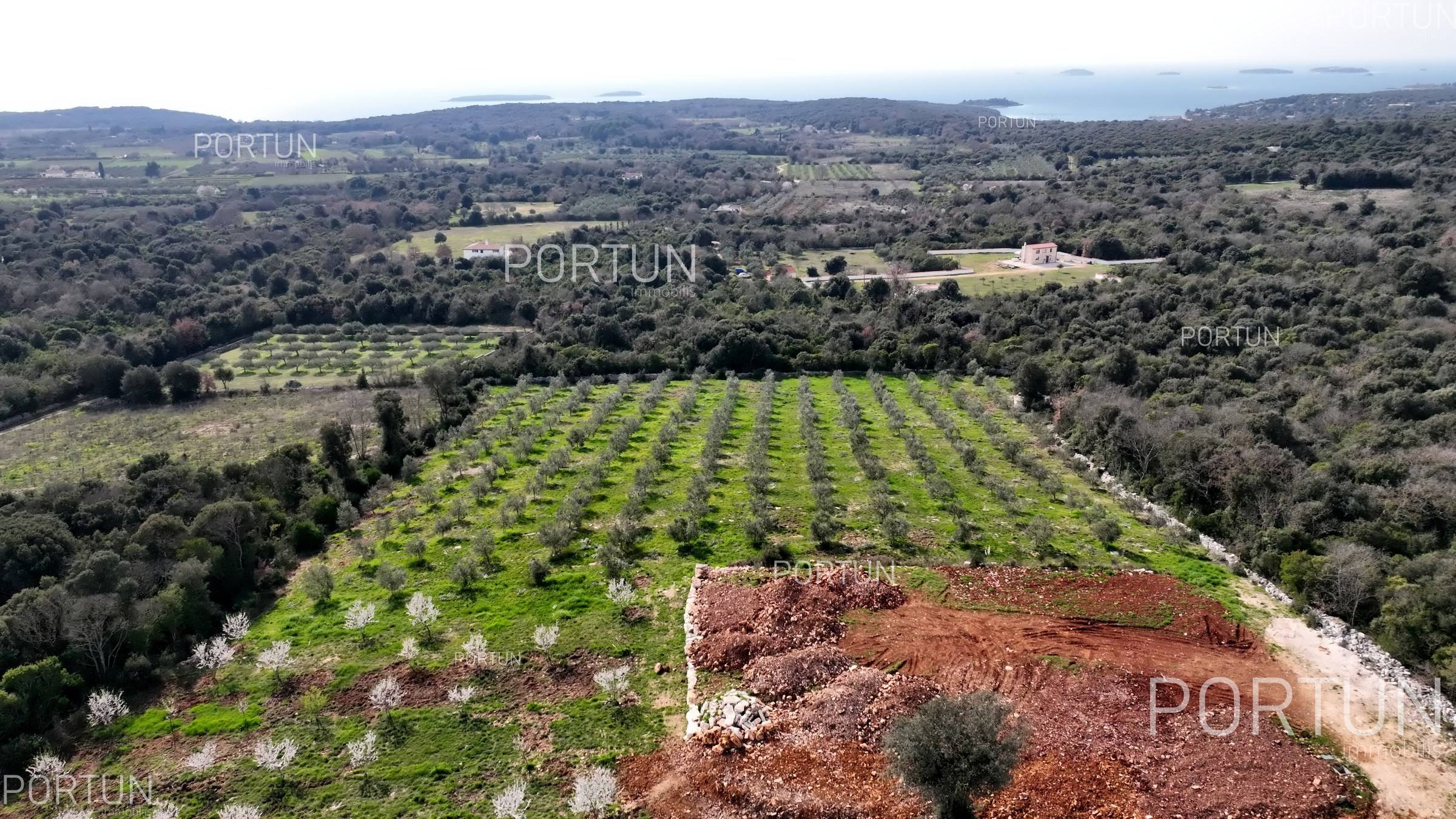 Zemljišče naprodaj v Rovinj - 40514 - 02