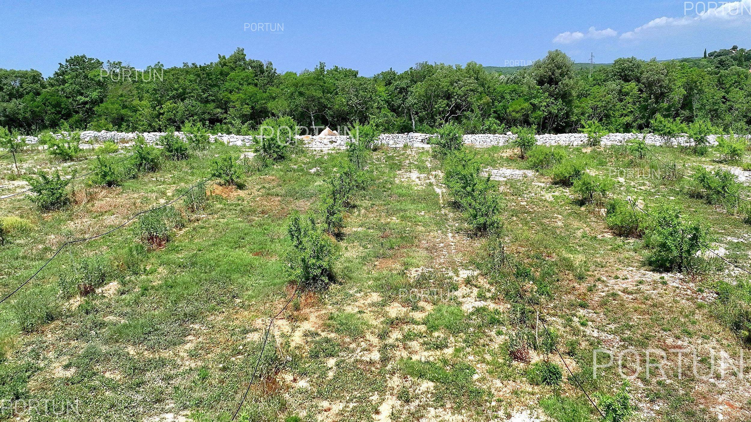 Zemljište na prodaju Rovinj - 40514 - 03