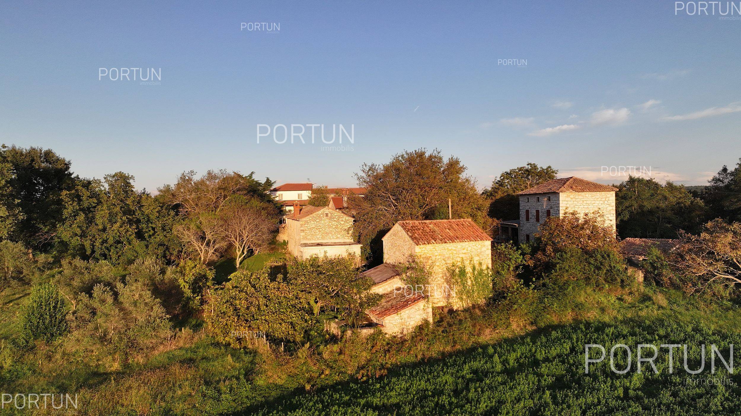 House for Sale in  Brtonigla - 20805 - 02