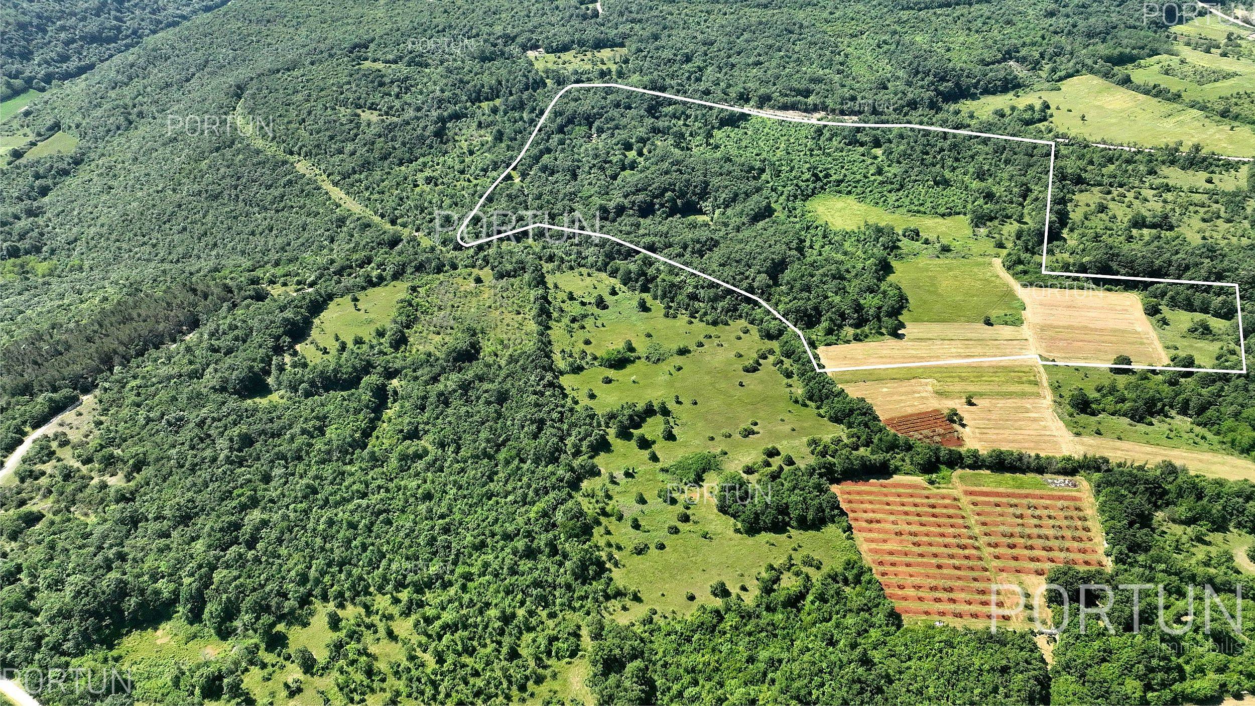 Plot of land for Sale in Kanfanar - 40508 - 03